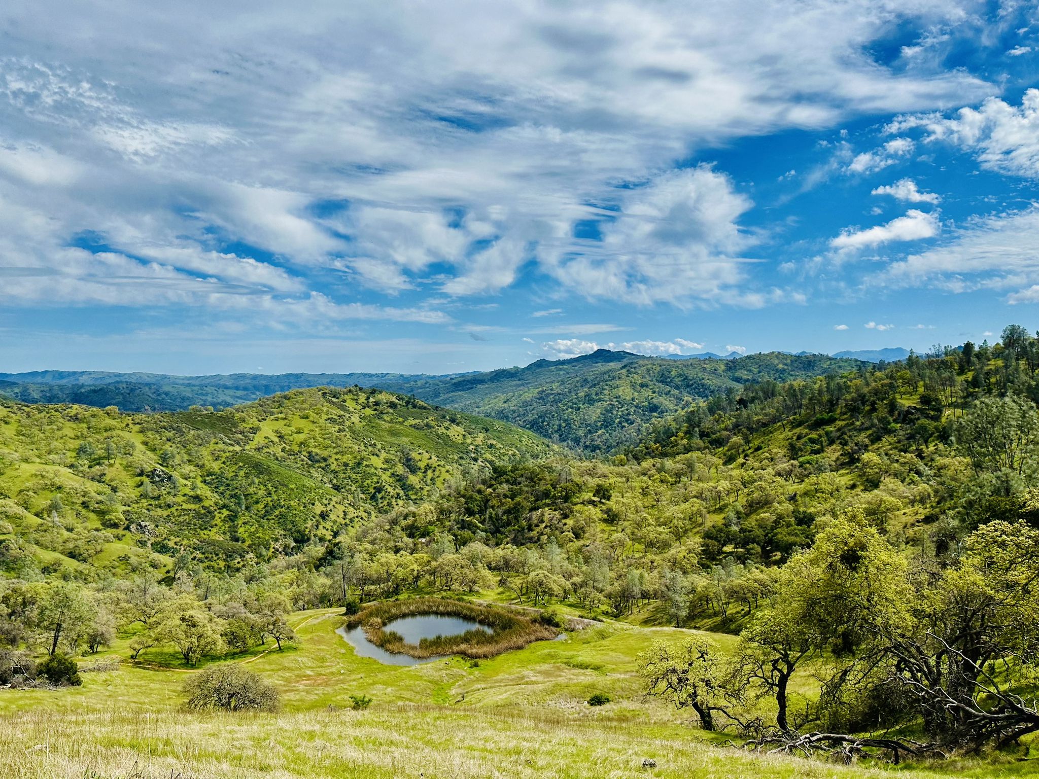 Vast green rolling hills with a small pond under a bright, cloudy sky. - Pacheco Falls Trail