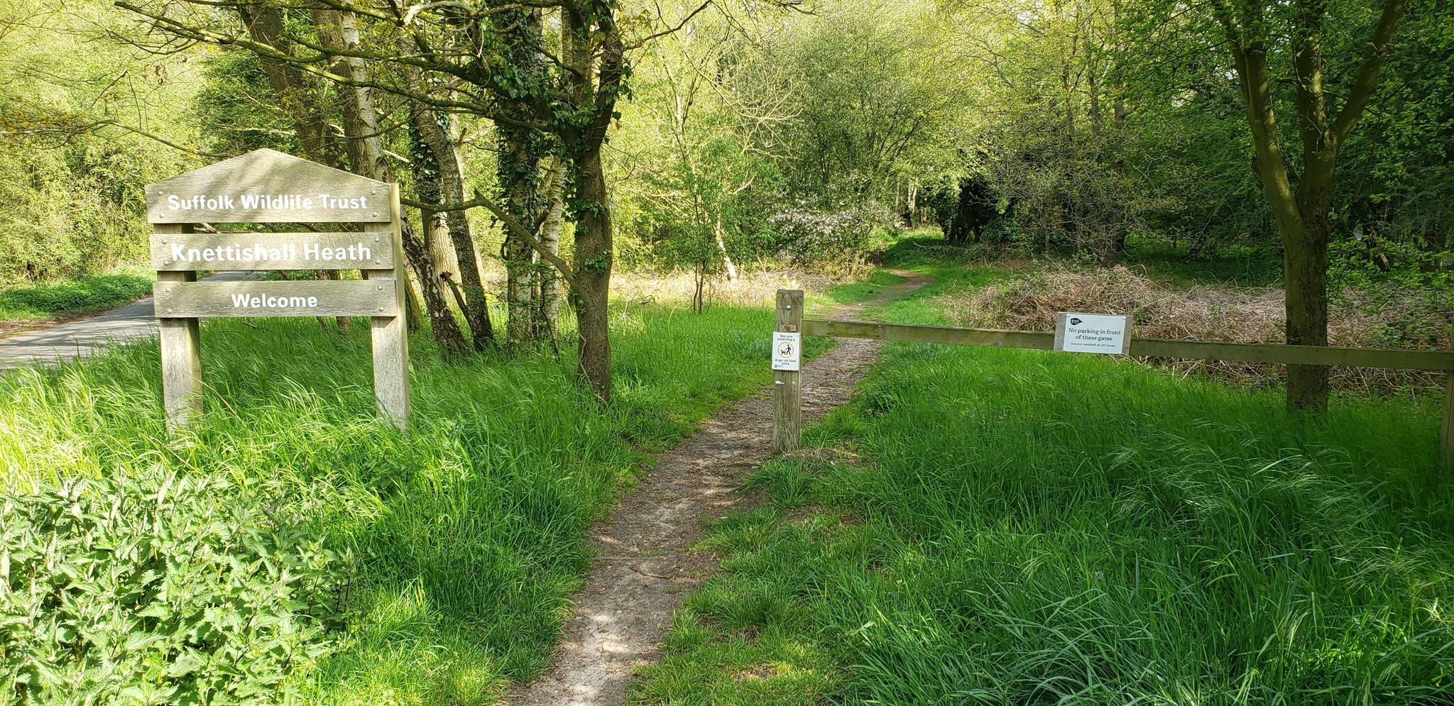 Knettishall Heath
