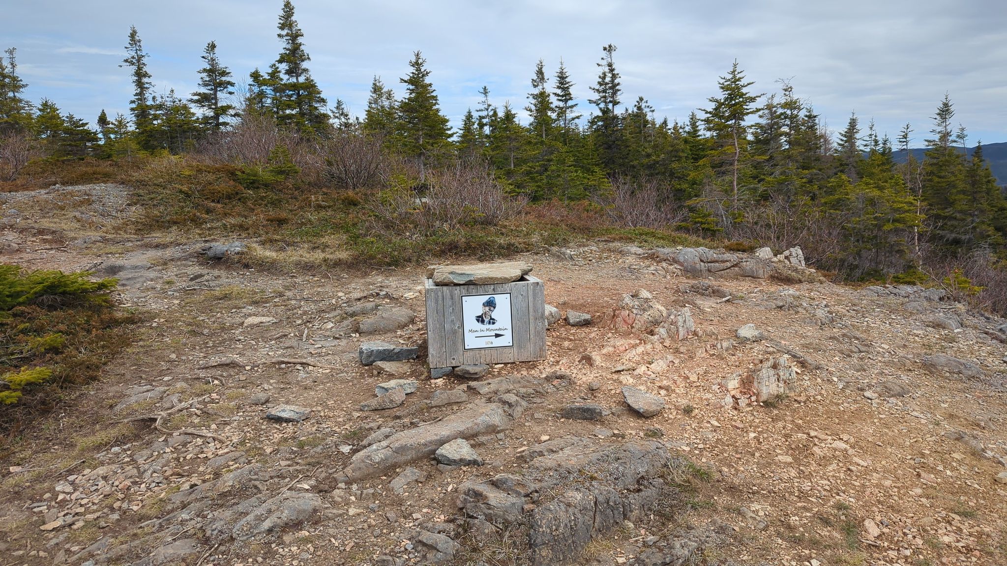 Bear Head to Man in Mountain Trail