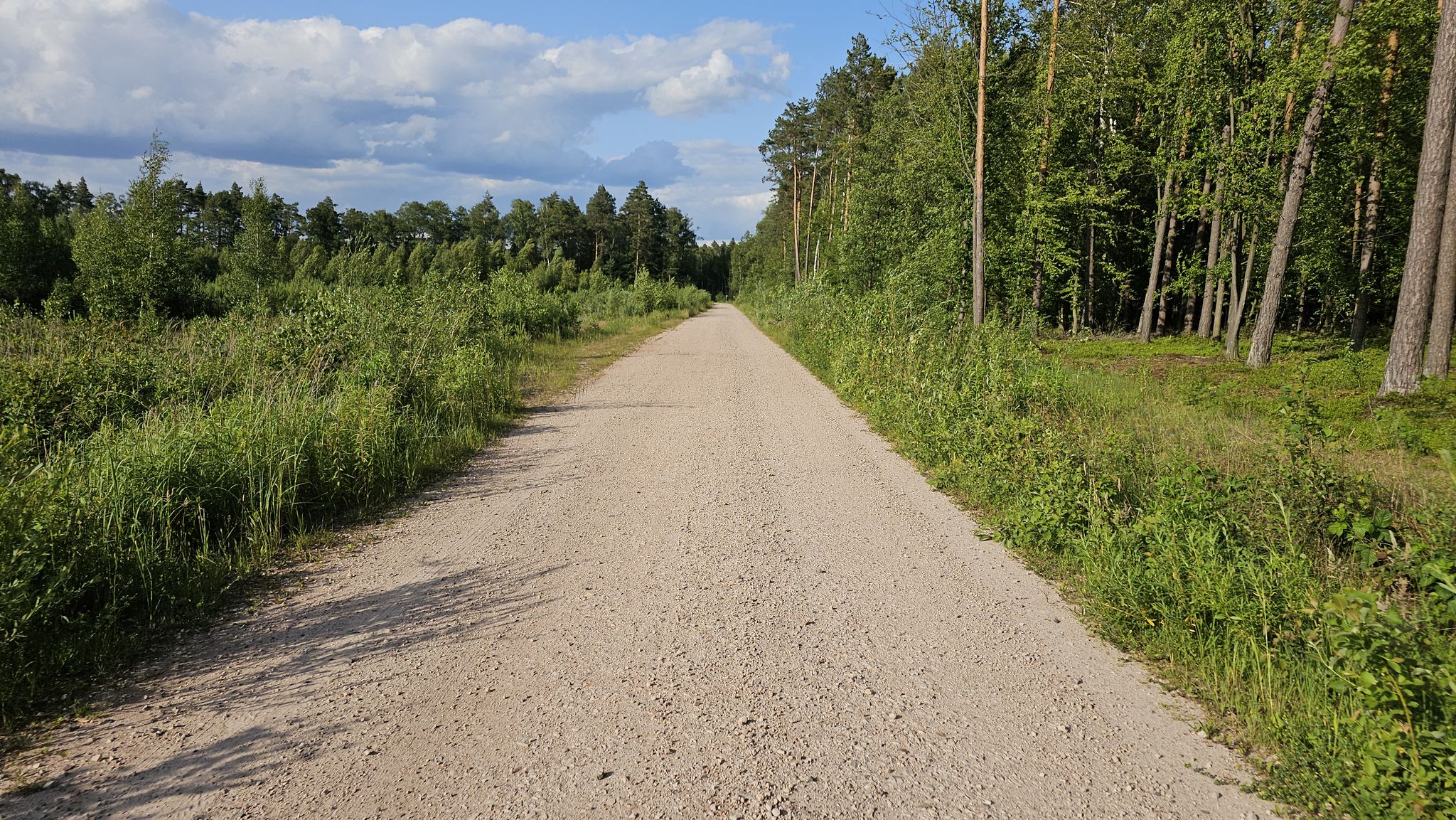 WSPANIAŁE kilometry szutrów, że mogą z Bolimowskimi ścierać się o palmę pierszeństwa