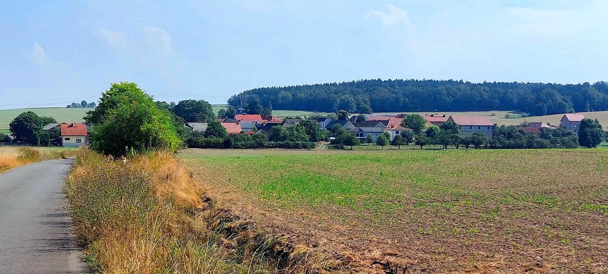 Teichwitz
