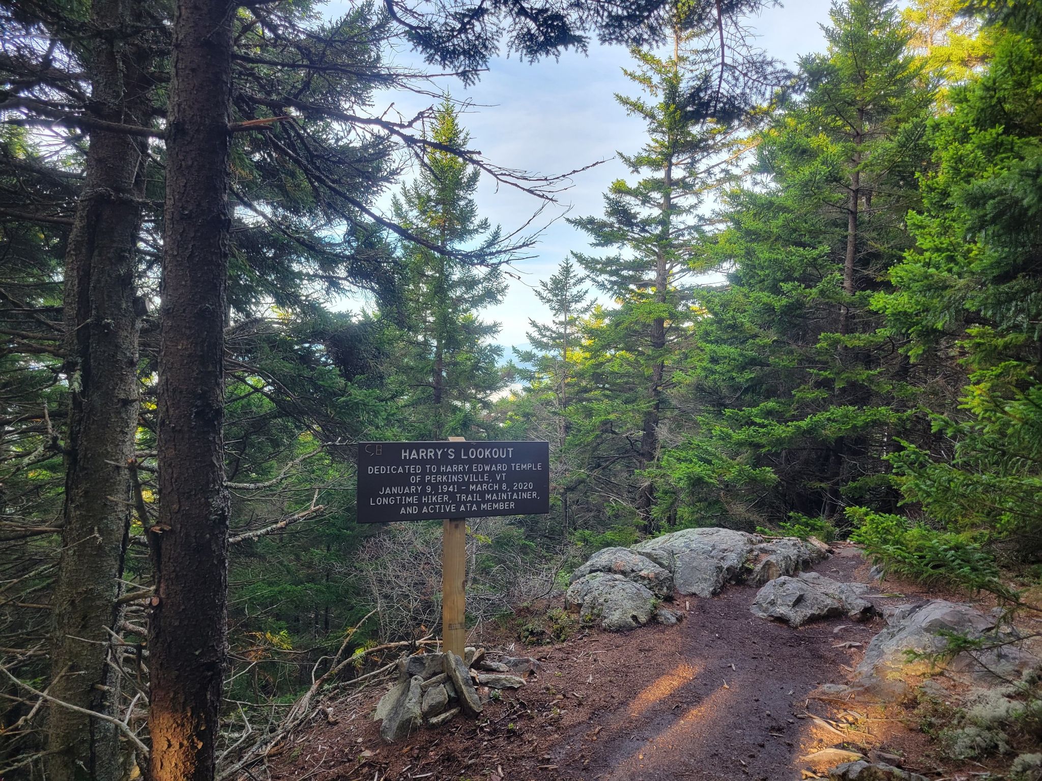 Wooden sign on a dirt path in a dense evergreen forest, dappled sunlight. - Weathersfield Trail