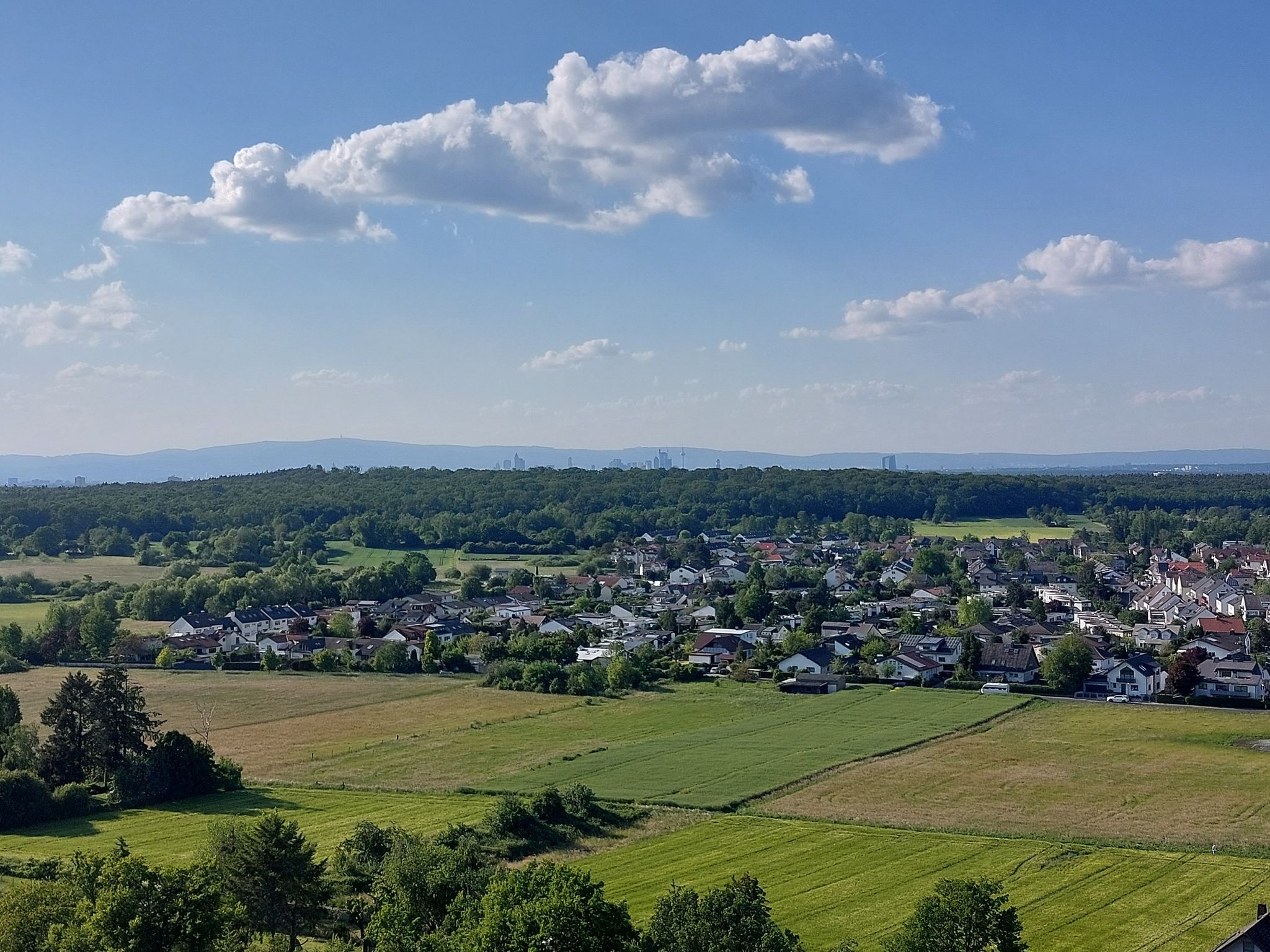 Blick Richtung Skyline