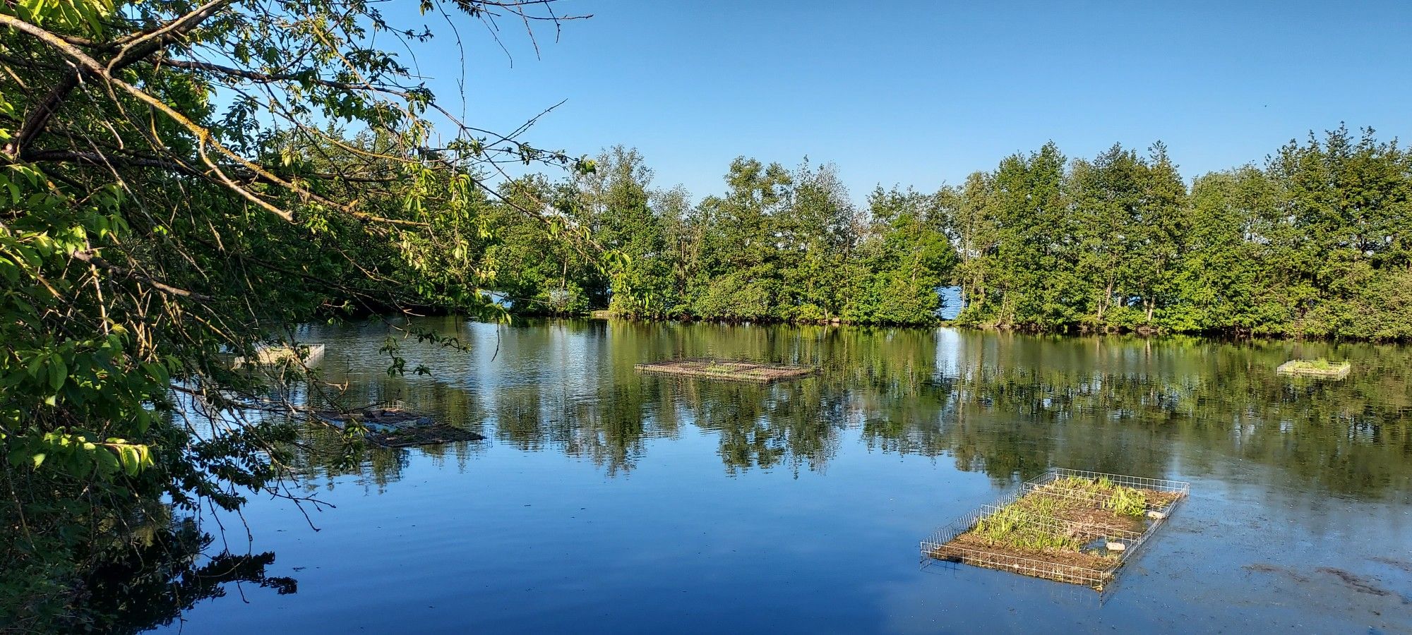 le coin oposé du lac