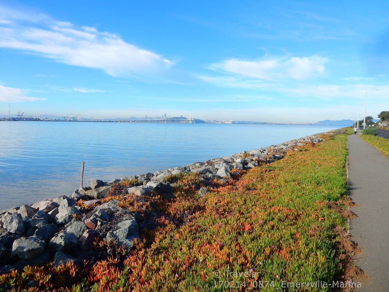 Sunny bay view with rocky shore, path, and distant person. - Emeryville Marina Park loop from McLaughlin Eastshore State Park