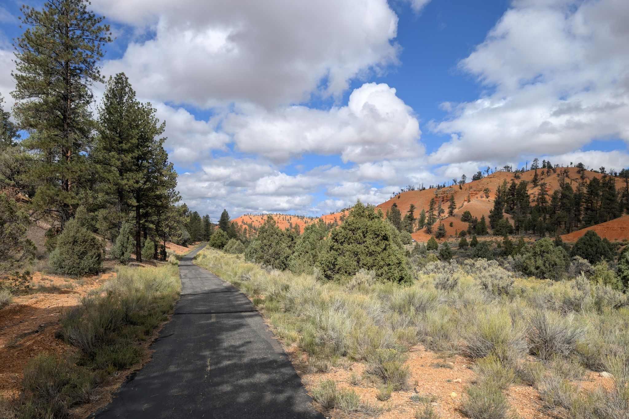 Paved path winds through arid landscape with red hills and pine trees. - Red Canyon Arch – Red Canyon Bicycle Trail loop from Bryce Canyon City
