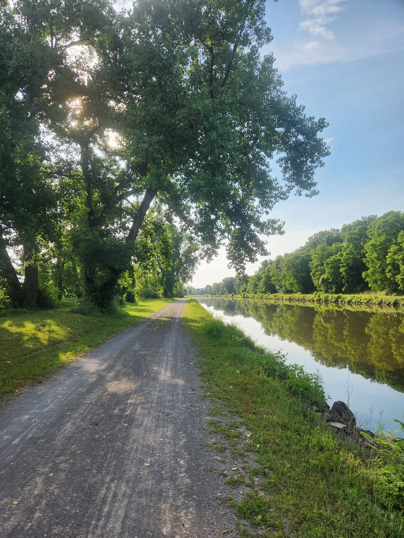 Sunny dirt path alongside a calm canal with large trees overhead. - Erie Canalway Trail: Lockport to Gasport