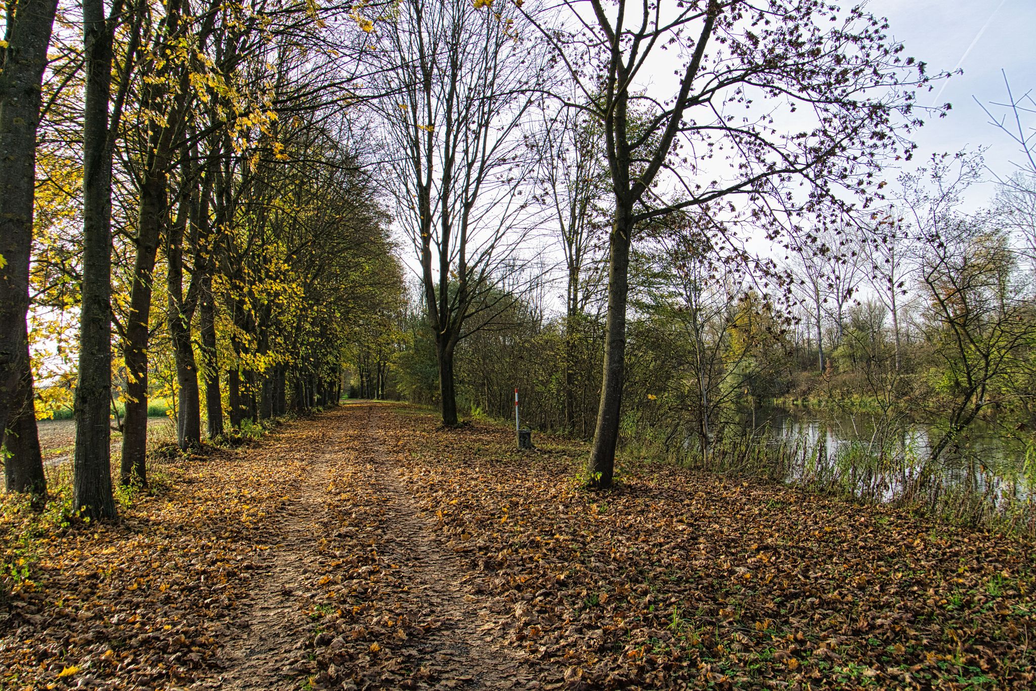Entlang des Isarradweges, Richtung Dingolfing