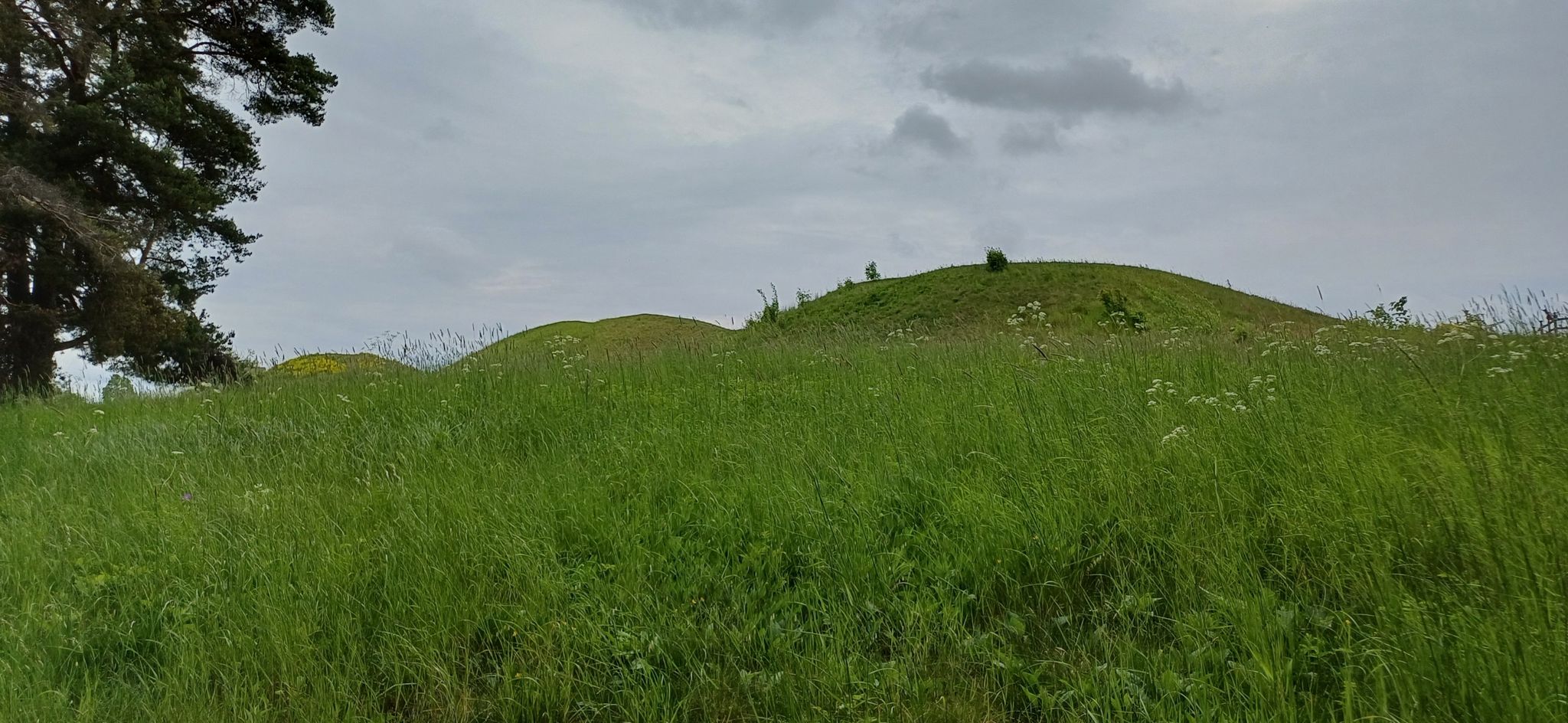 terpen