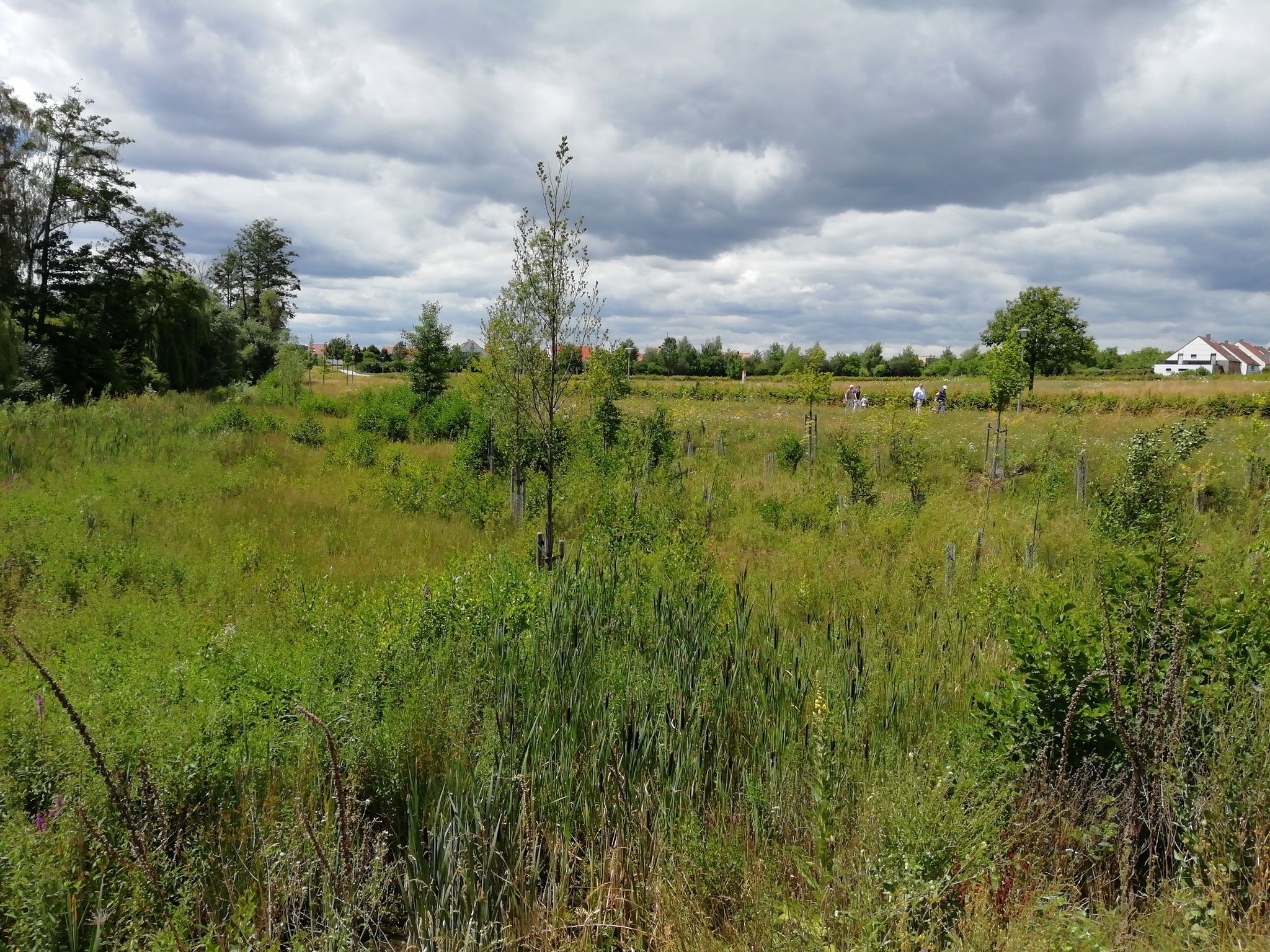 Aubach Park 3