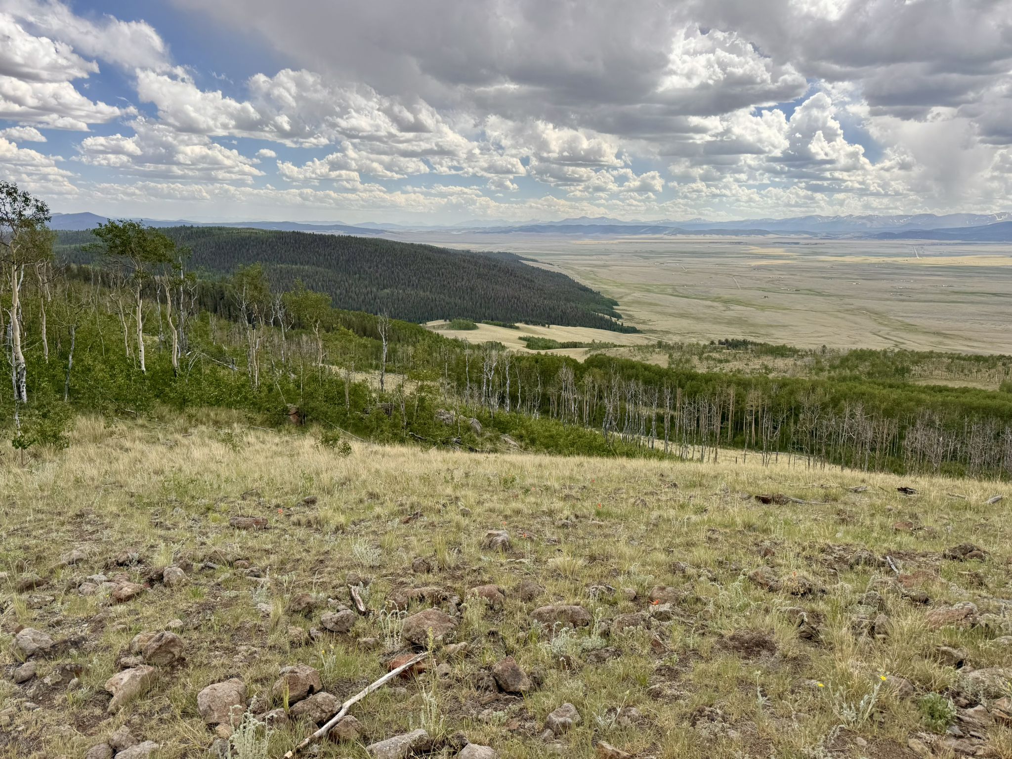 Grassy hillside overlooks a vast valley and distant mountains under a cloudy sky. - Colorado Trail: Segment 5