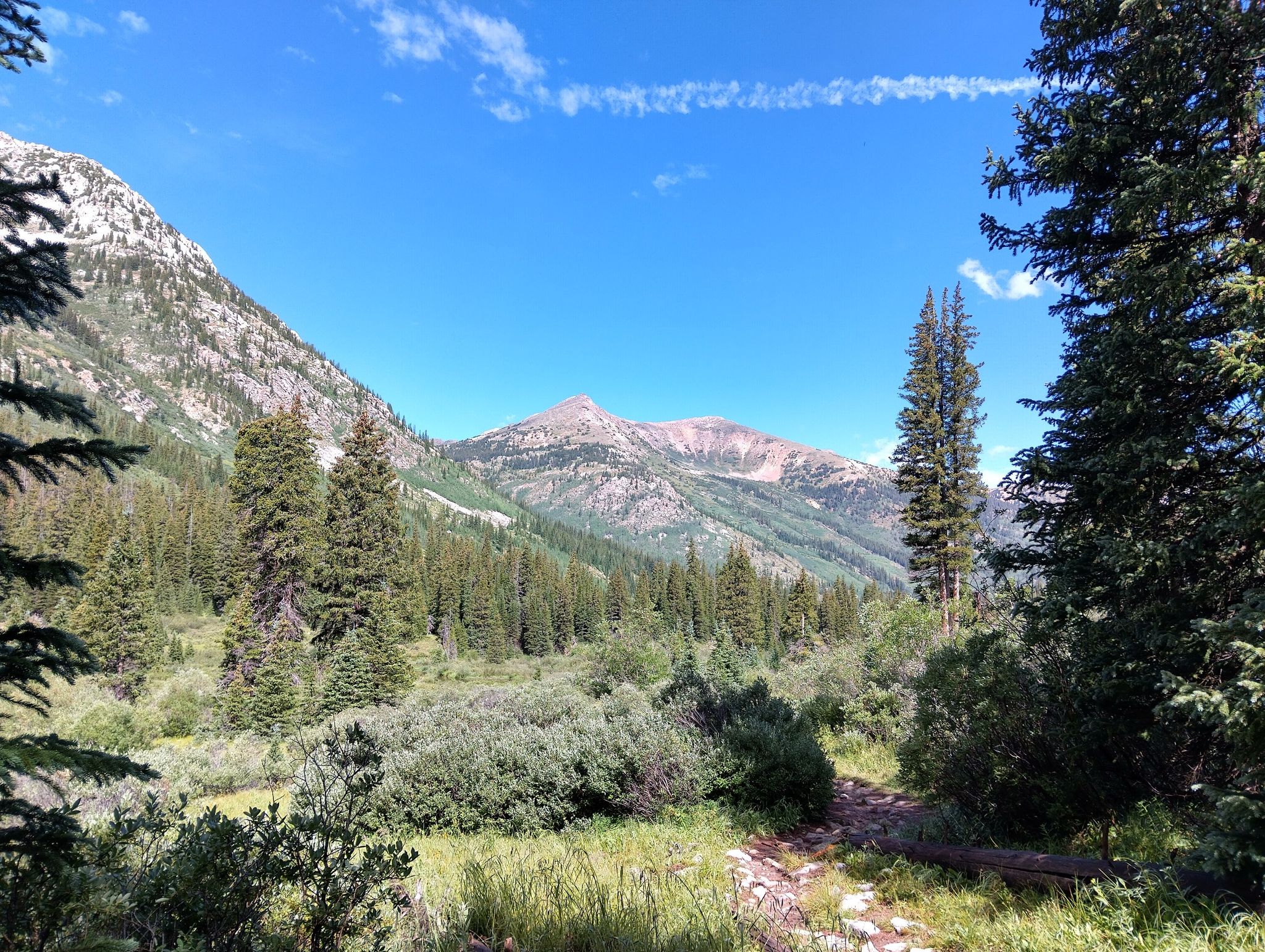 Sunny mountain valley with lush green trees and a distant peak. - Lake Ann Trail