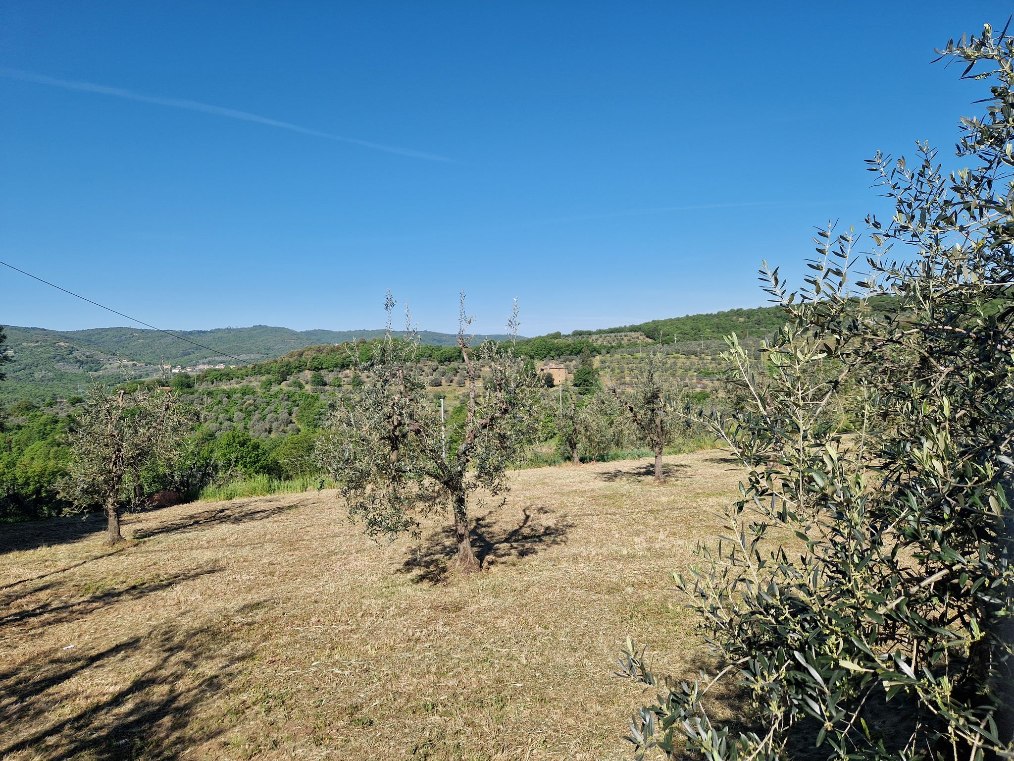 Panorama da Ciggiano