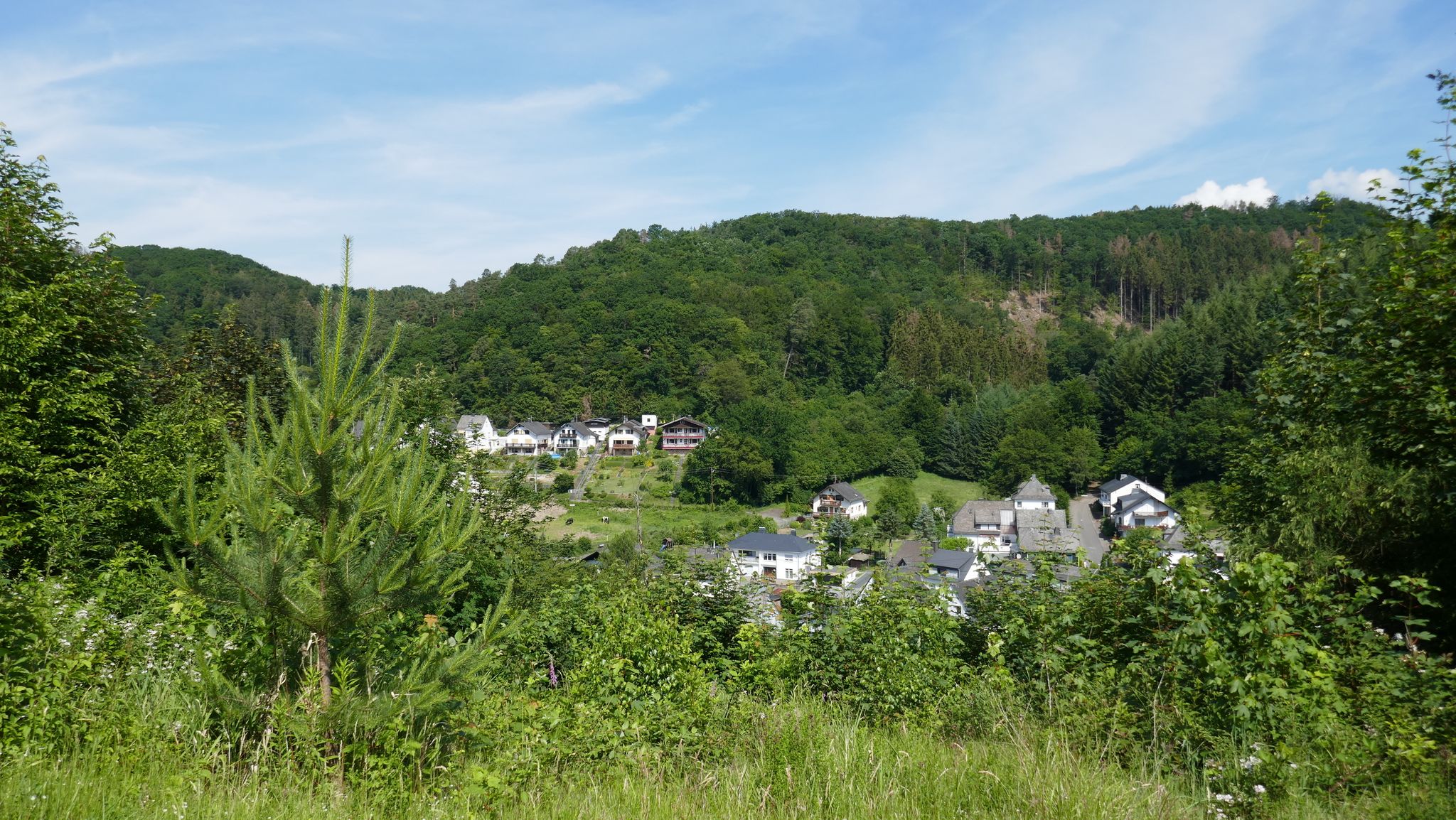 ... Blick auf Arzbach.