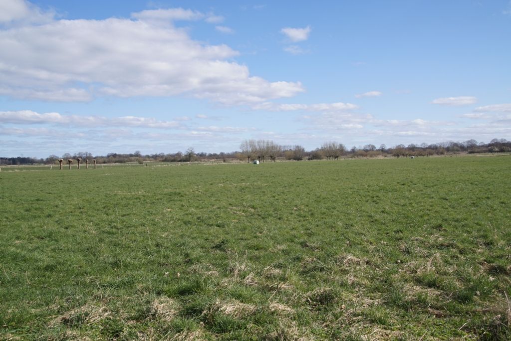 Plattes Land, jedenfalls im Bereich zwischen Nahe und Kisdorferwohld.