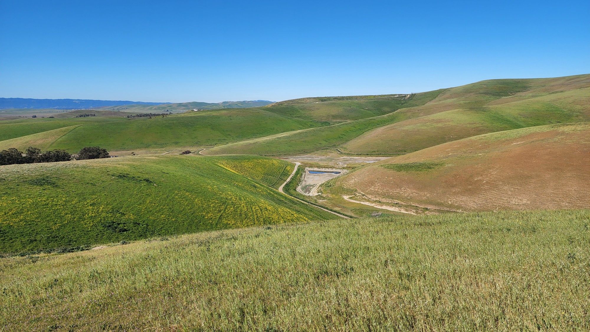 Expansive green and brown rolling hills with a dry creek bed under clear sky. - Laughlin, Tamcan, and Brushy Peak Loop