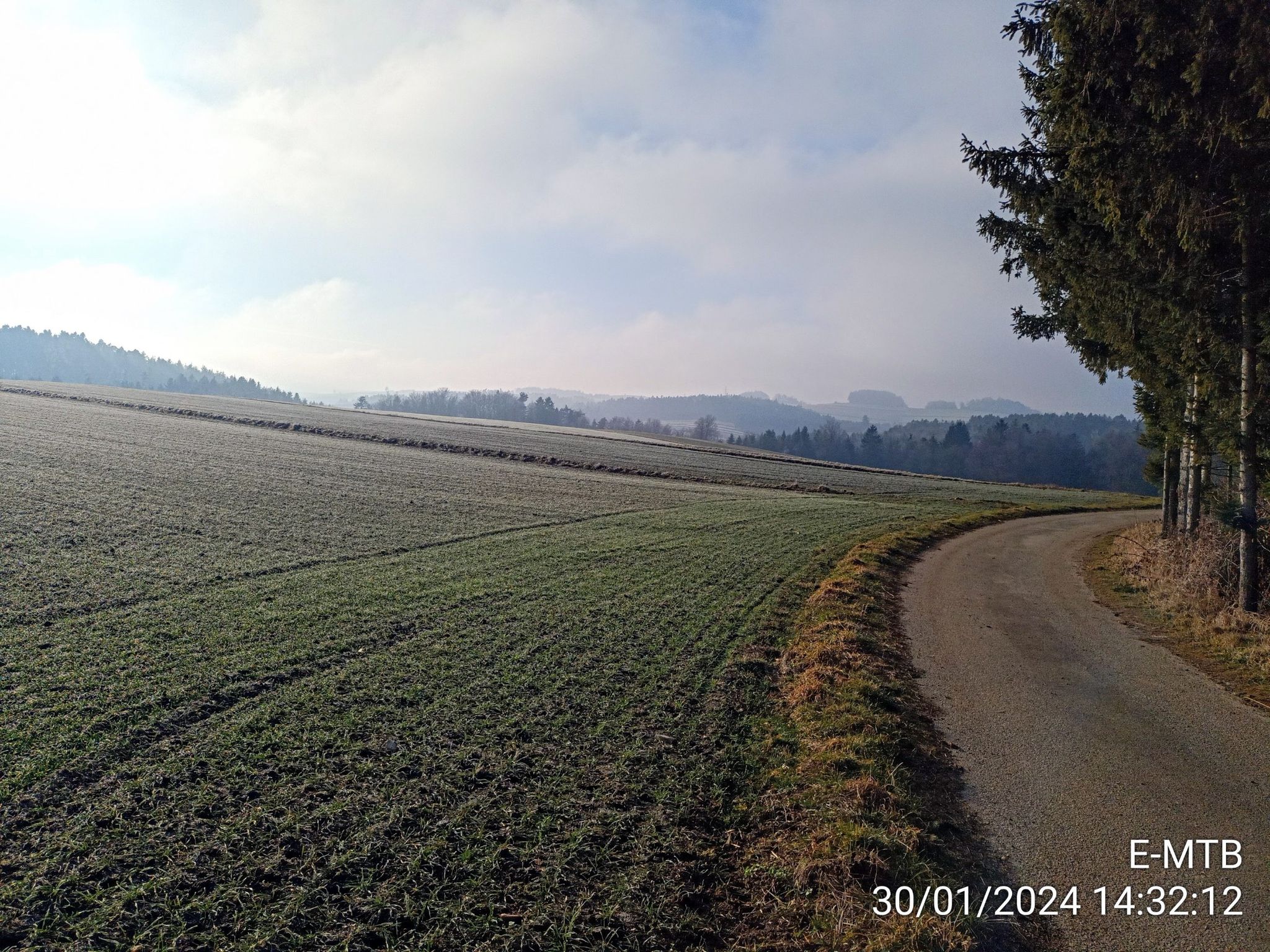 Typisch Waldviertel.
