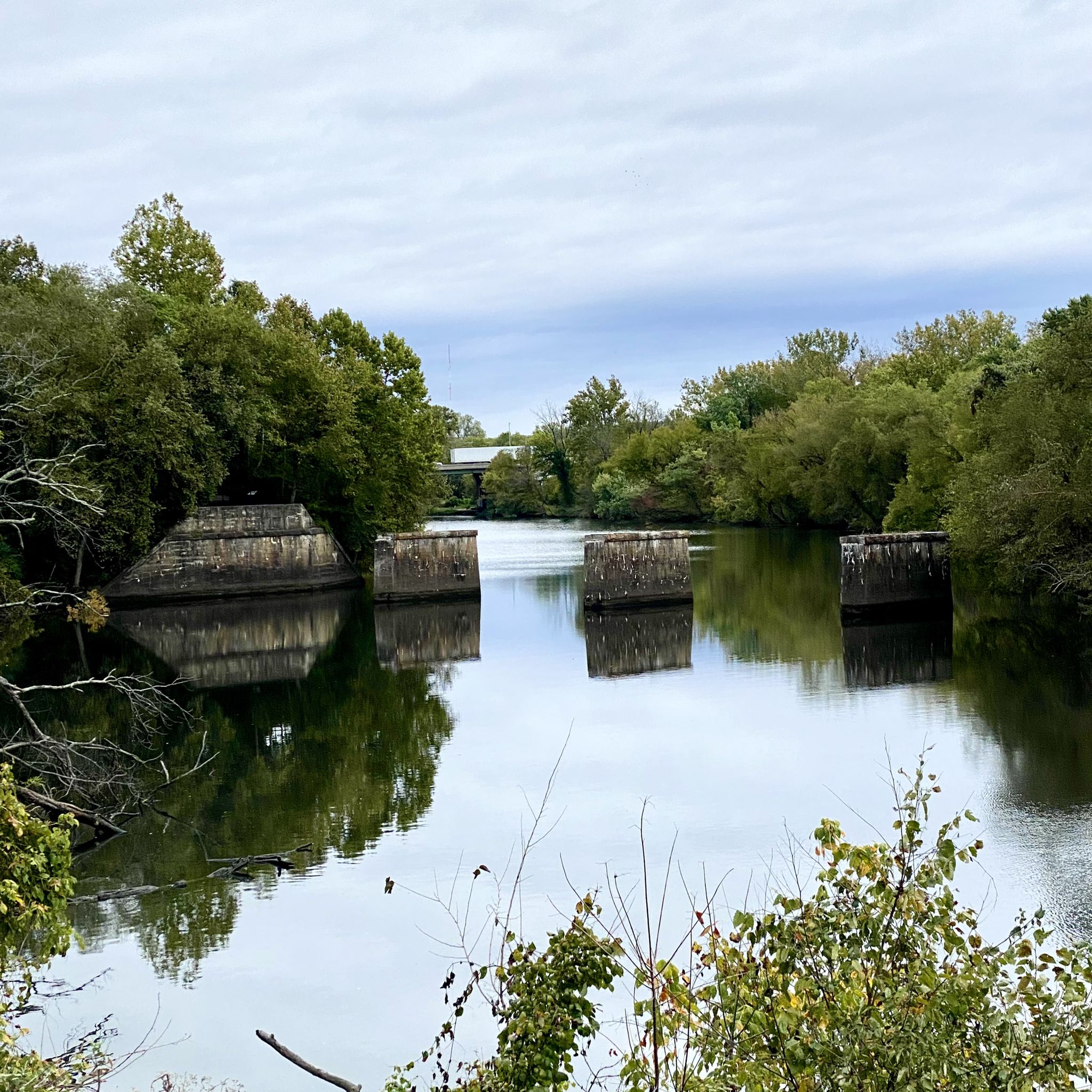 River with old bridge piers, surrounded by green trees under an overcast sky. - Appomattox River Trail