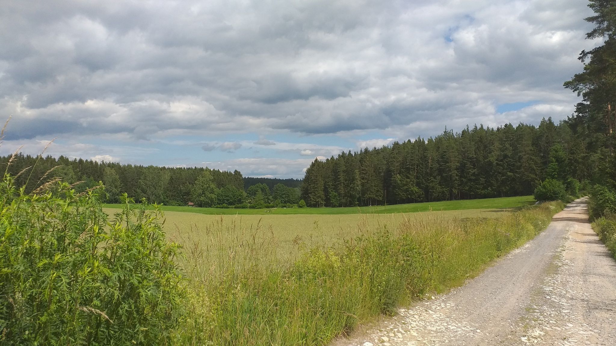 am Weg