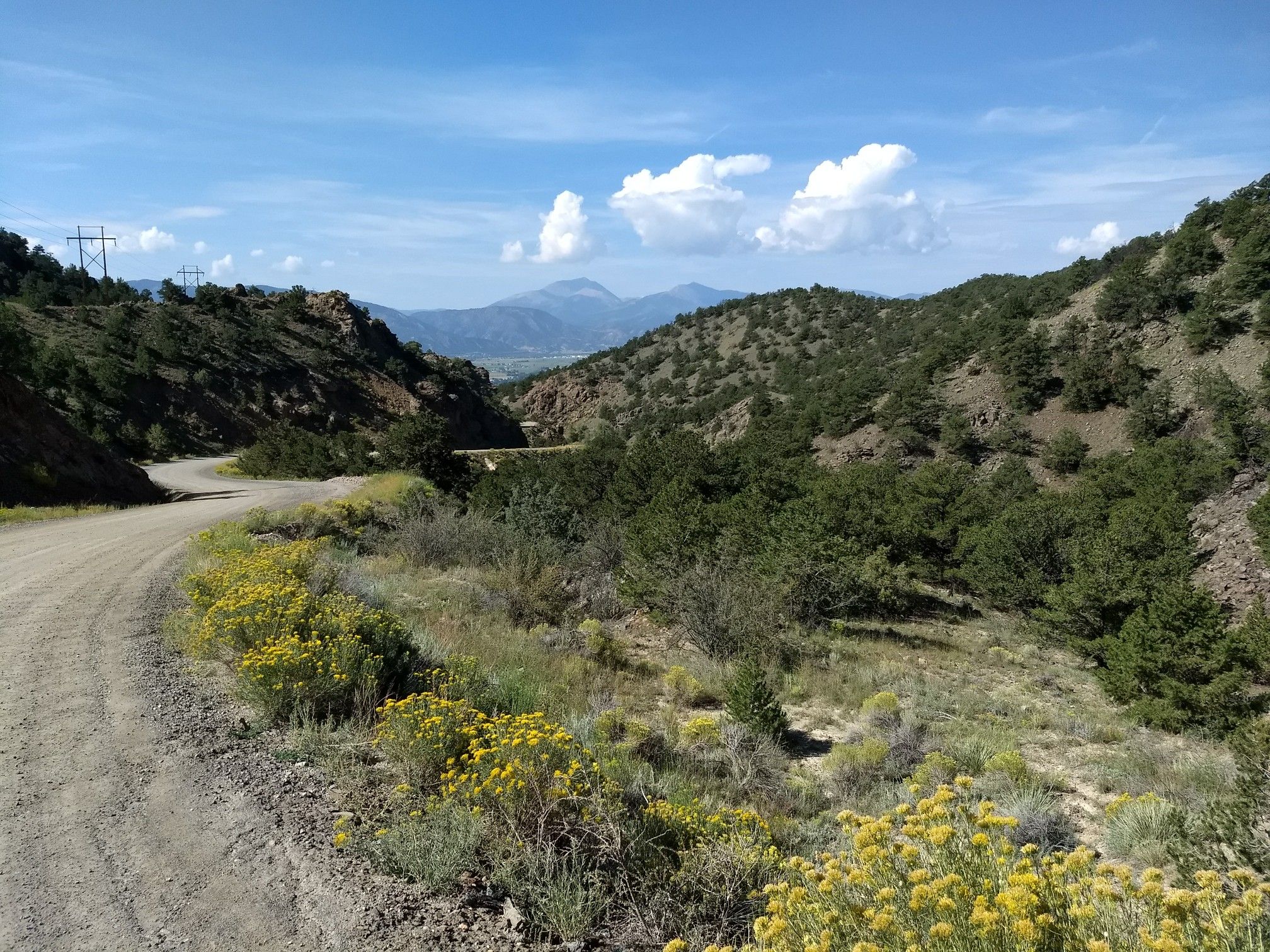 A dirt road curves through arid hills with green trees and yellow wildflowers under a bright sky. - Cottonwood Loop