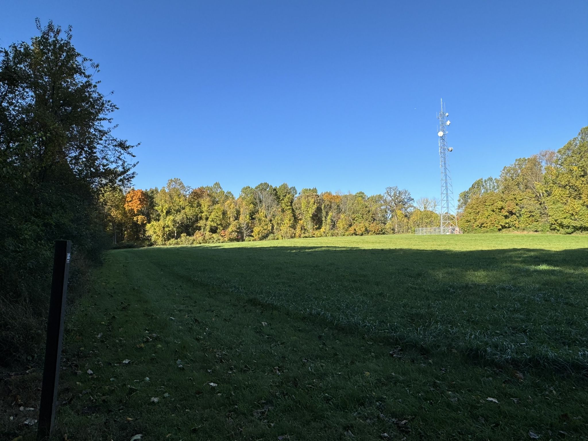 Expansive green field bordered by autumn trees under a clear blue sky. - Hibernia County Park loop from Thorndale