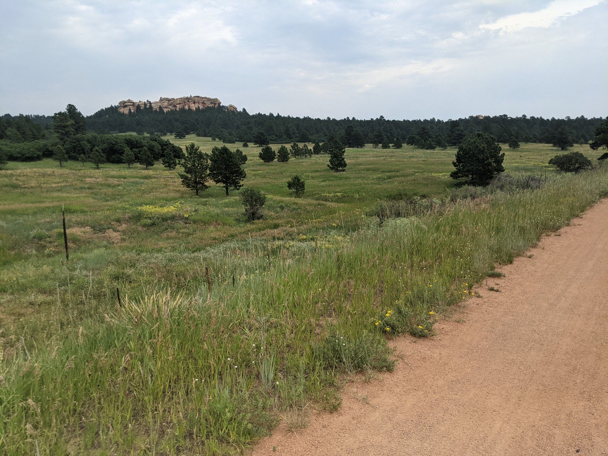 Dirt path beside a grassy field, scattered trees, and distant rocky mesa. - New Santa Fe Regional Trail