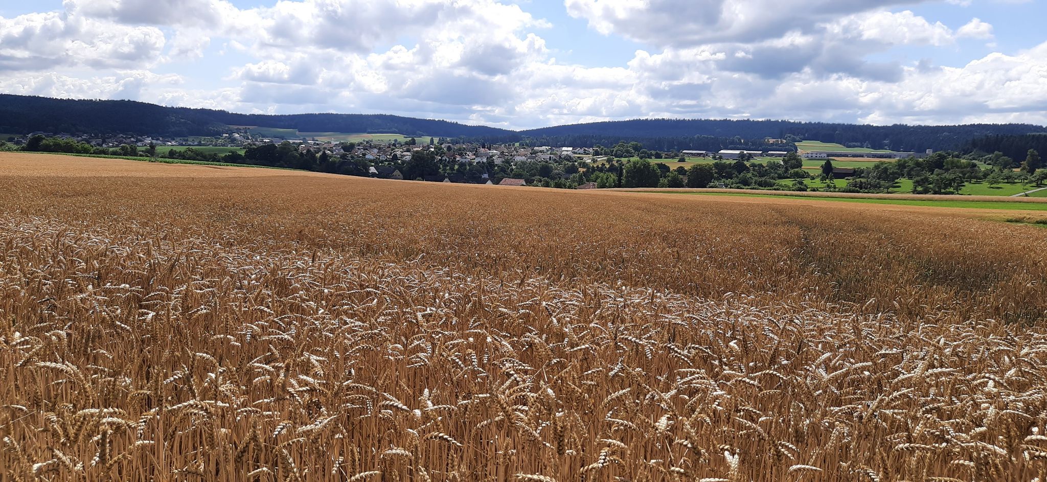Blick auf Tummlingen
