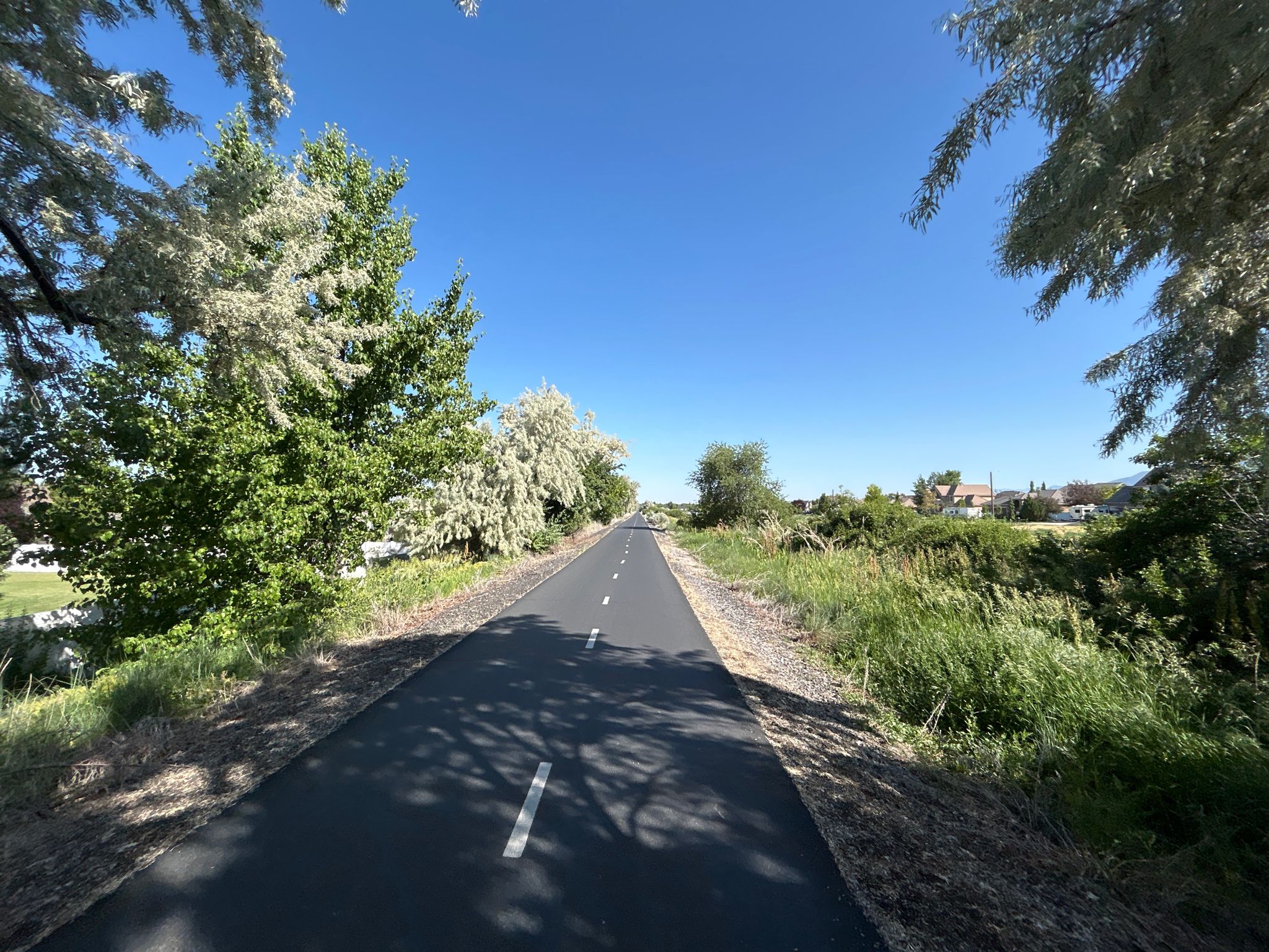 Paved path stretches under a clear blue sky, lined with green trees. - Bike loop from Farmington