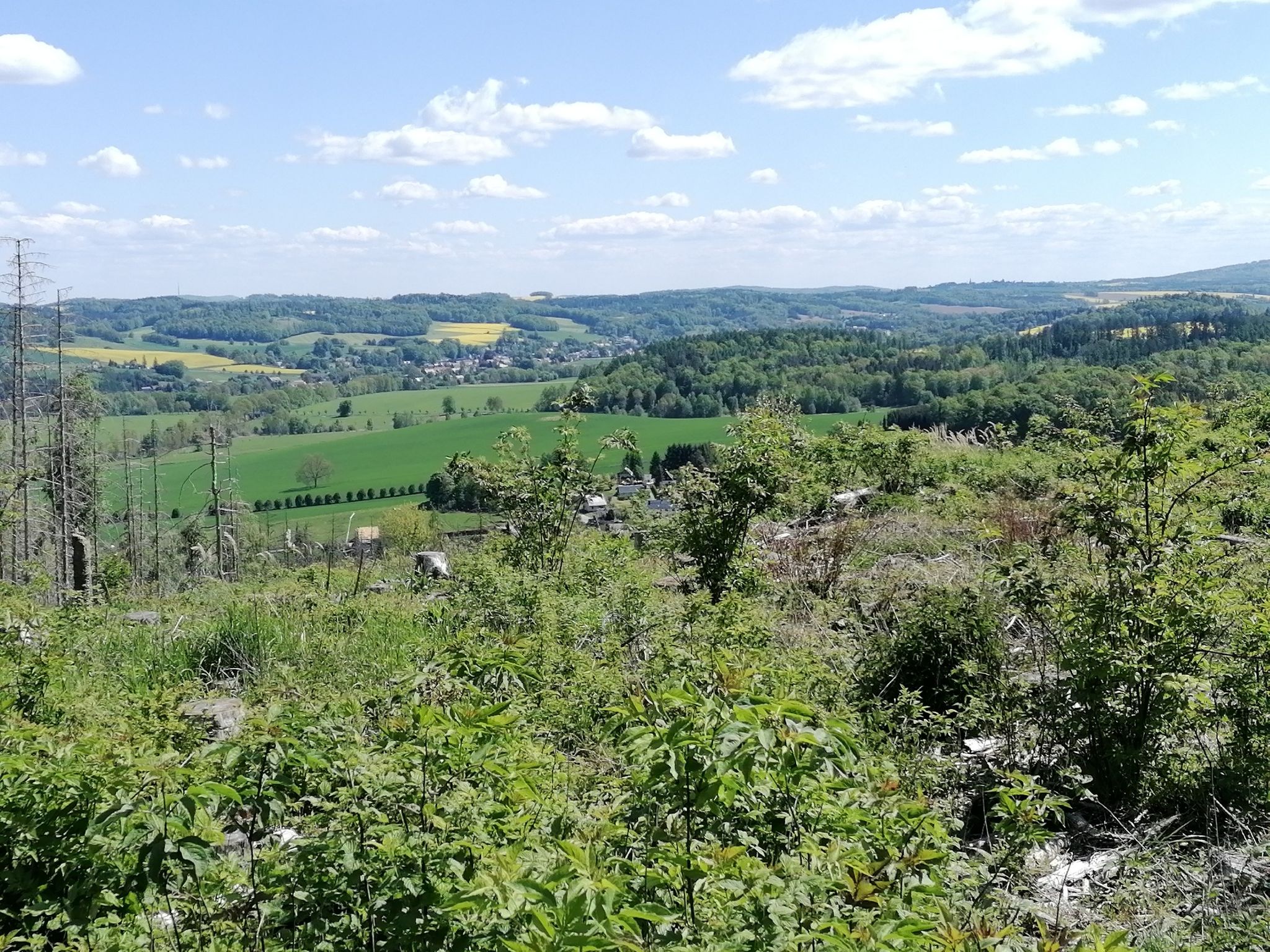 Blick von Taubenberg