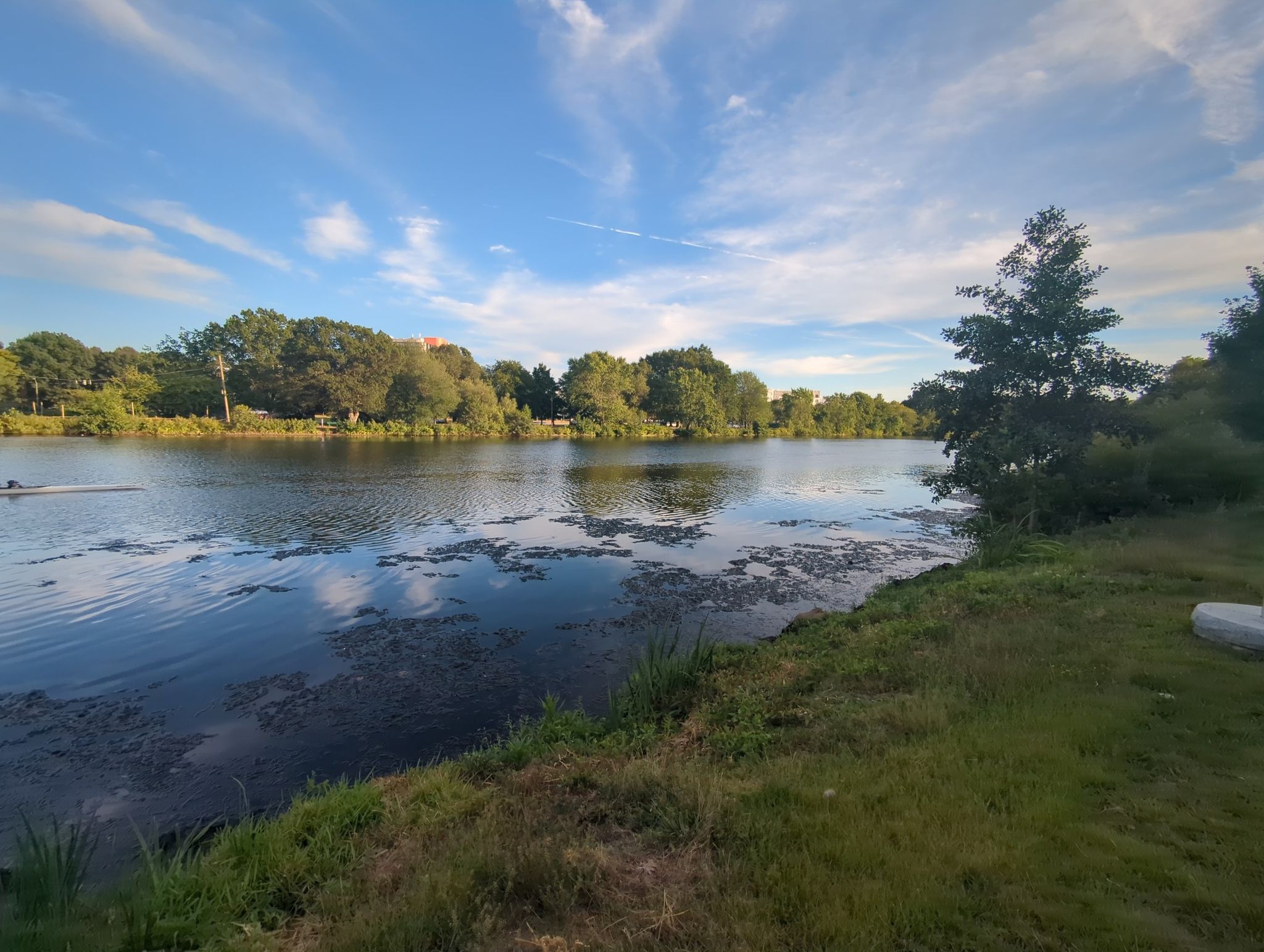 A calm river with green trees and a small boat under a blue sky. - Charles River Greenway Loop
