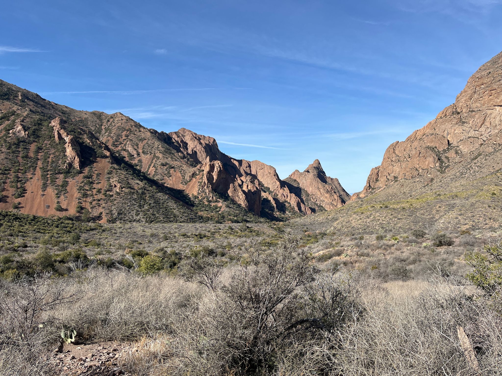 Wide desert valley with scrub brush leading to rugged mountains under clear sky. - Window Trail