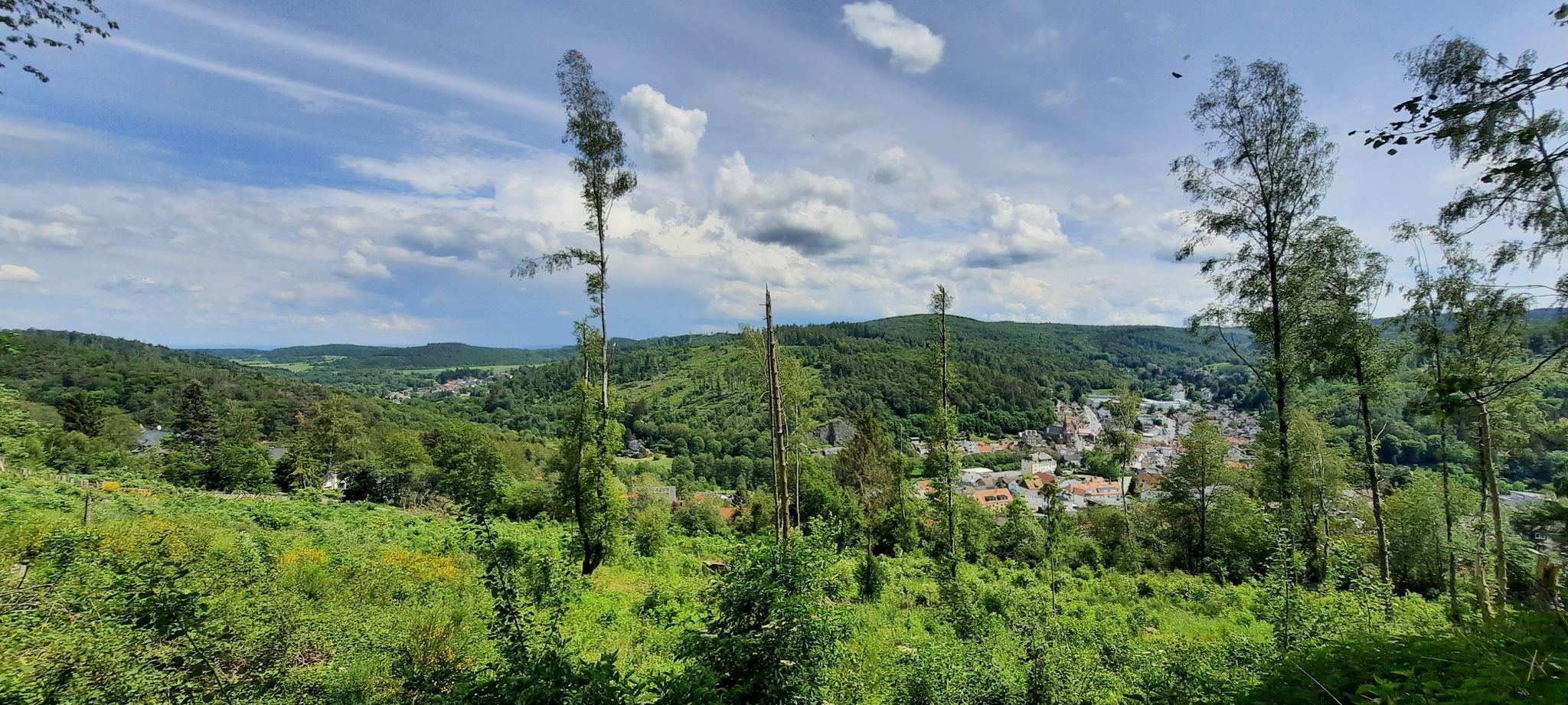 Am Judenkopf bei Schmitten