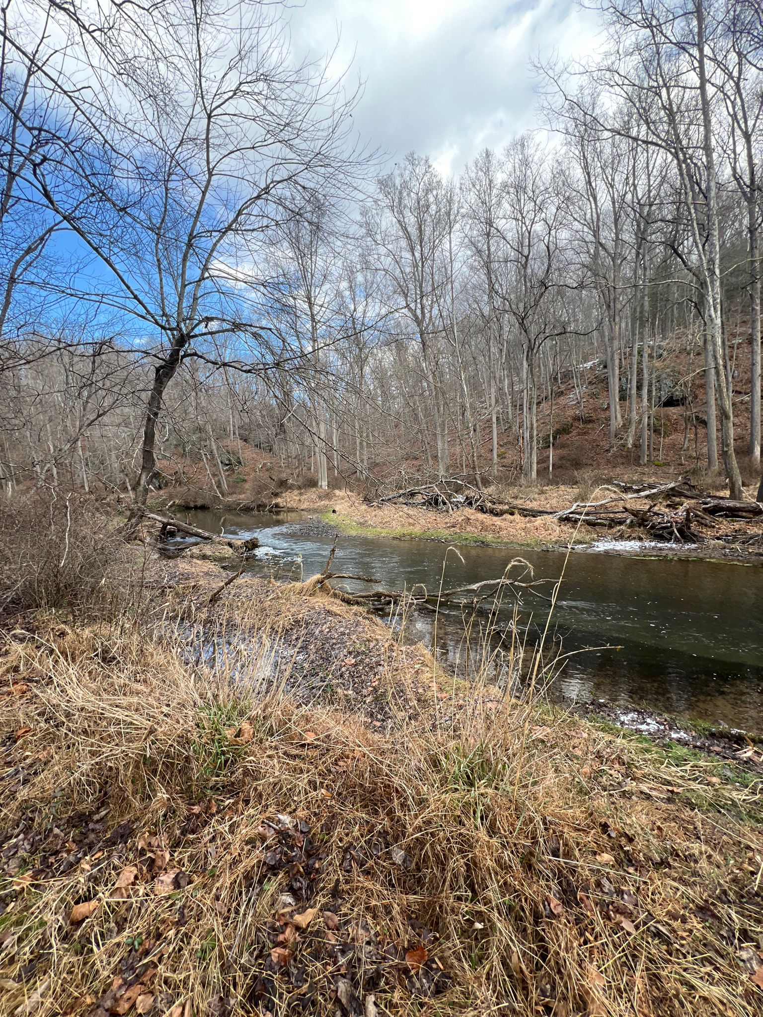 A river winds through a winter forest with bare trees and dry grass. - Panther, Sandy, and Gunpowder North Trail Loop