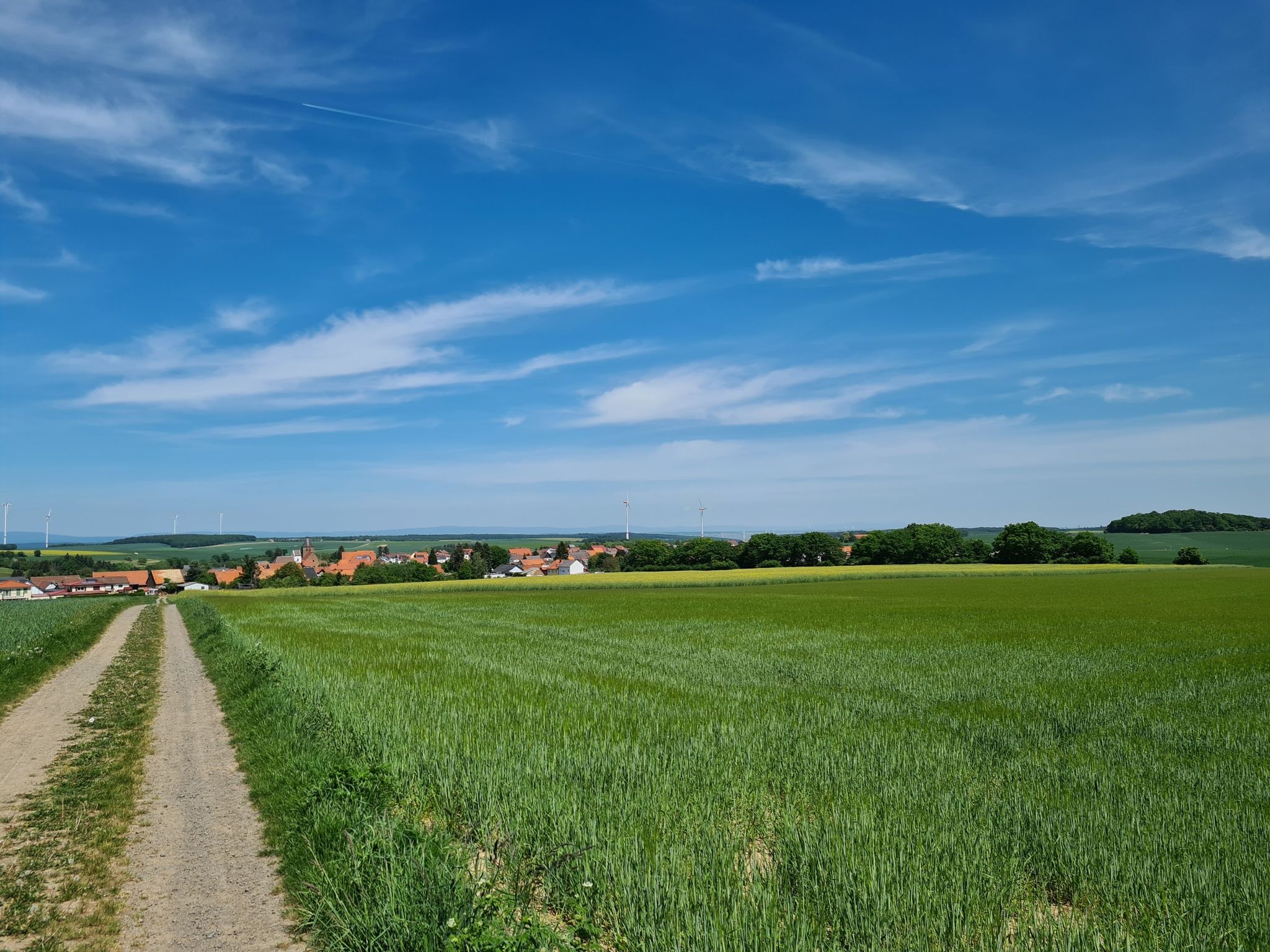 Kriegsfeld