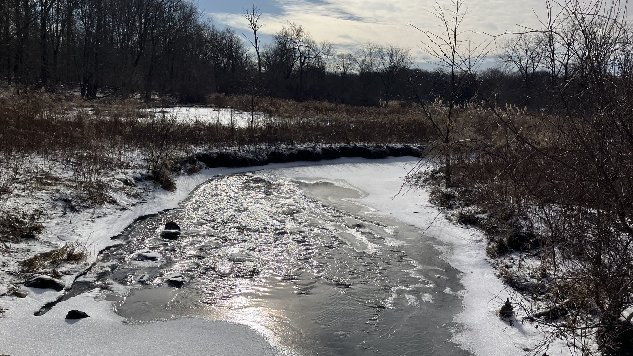Partially frozen stream flowing through a snowy winter landscape with bare trees. - West Branch DuPage River Trail