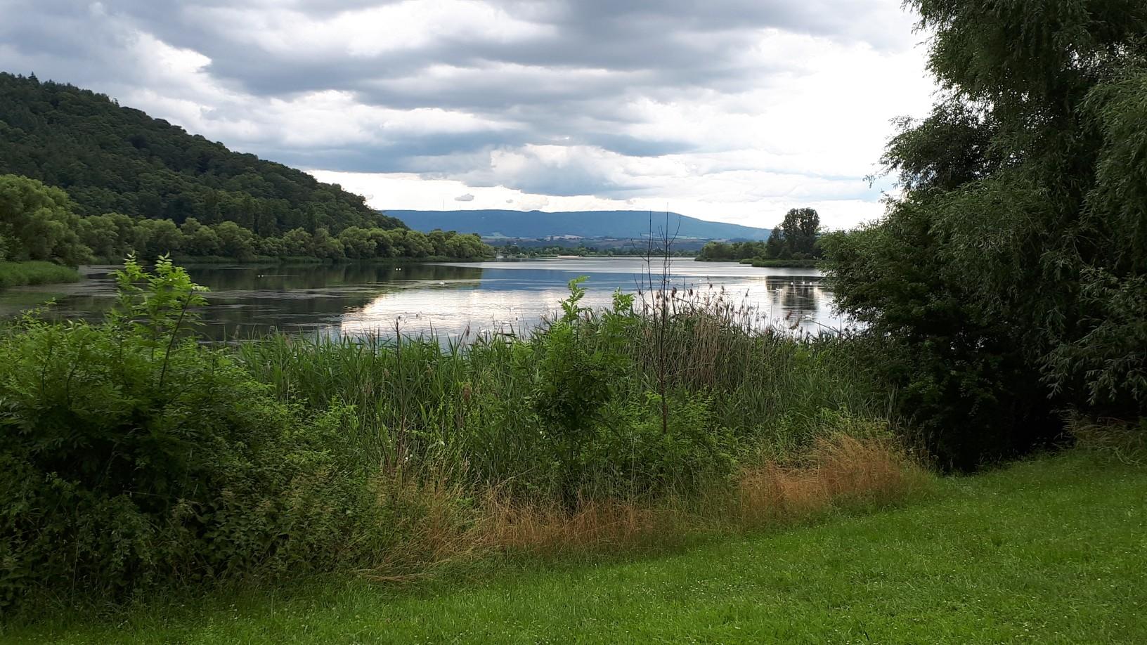 O que descobrir em Amperauen Mit Leitenwälder Zwischen Fürstenfeldbruck ...
