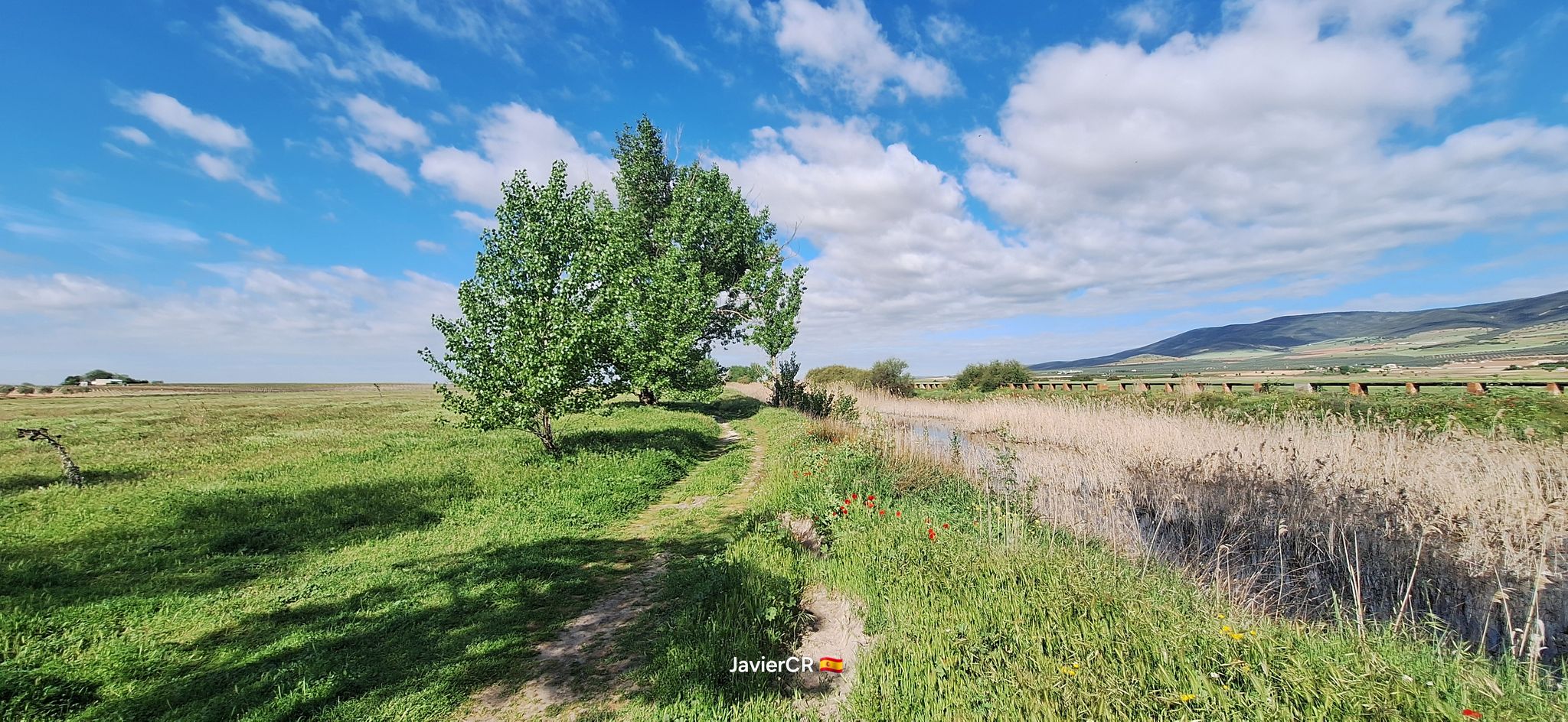 Ruta del Río Cigüela