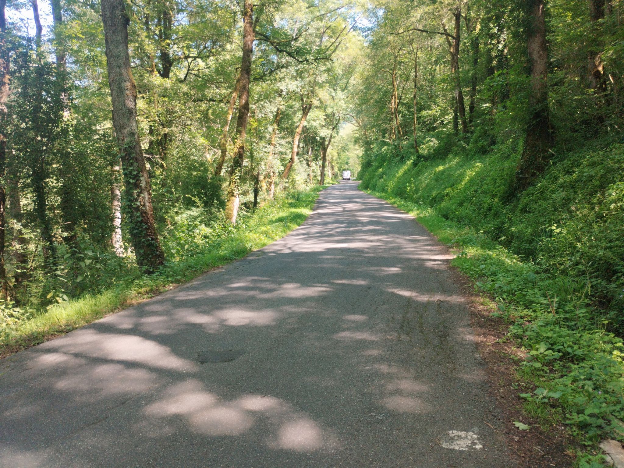 D558, im Tal der Diege