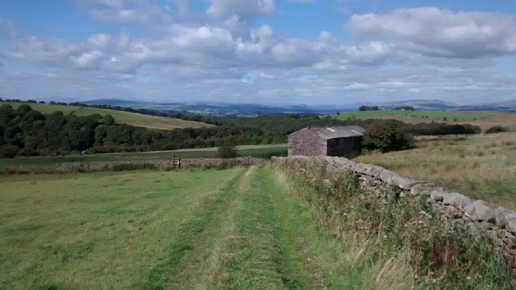 Wray Wood Moor