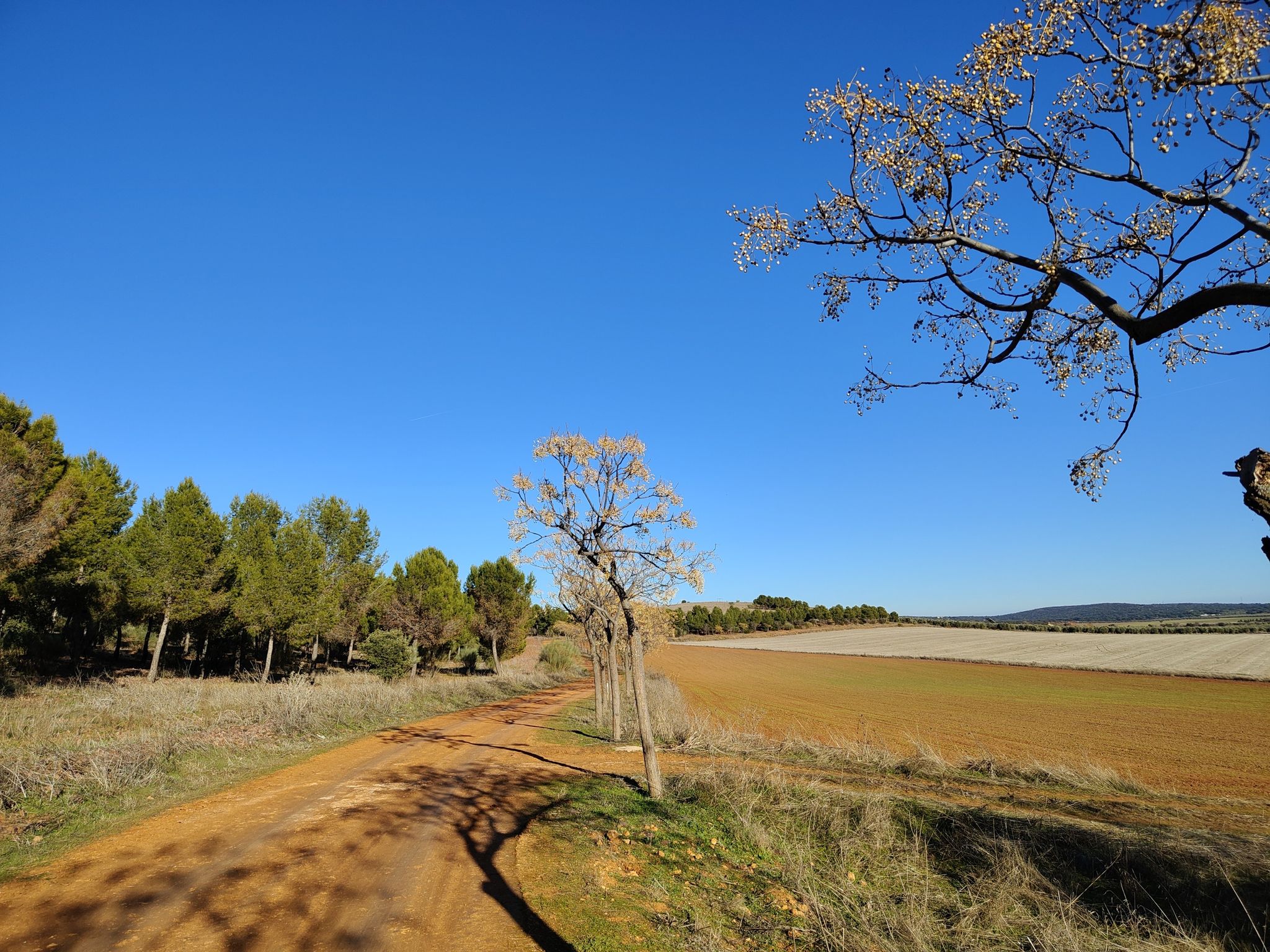 Caminos San Isidro hacia Mirador