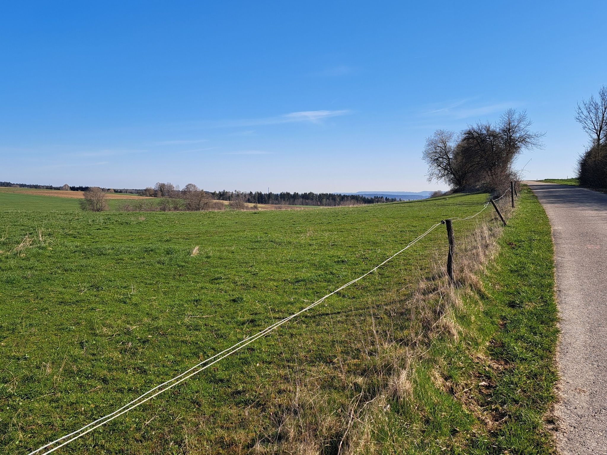Schopfelen