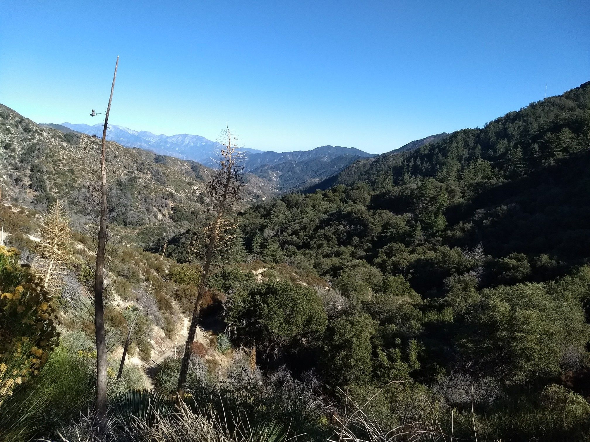 Expansive view of a green mountain valley under a clear blue sky. - Strawberry Peak and Colby Canyon Loop