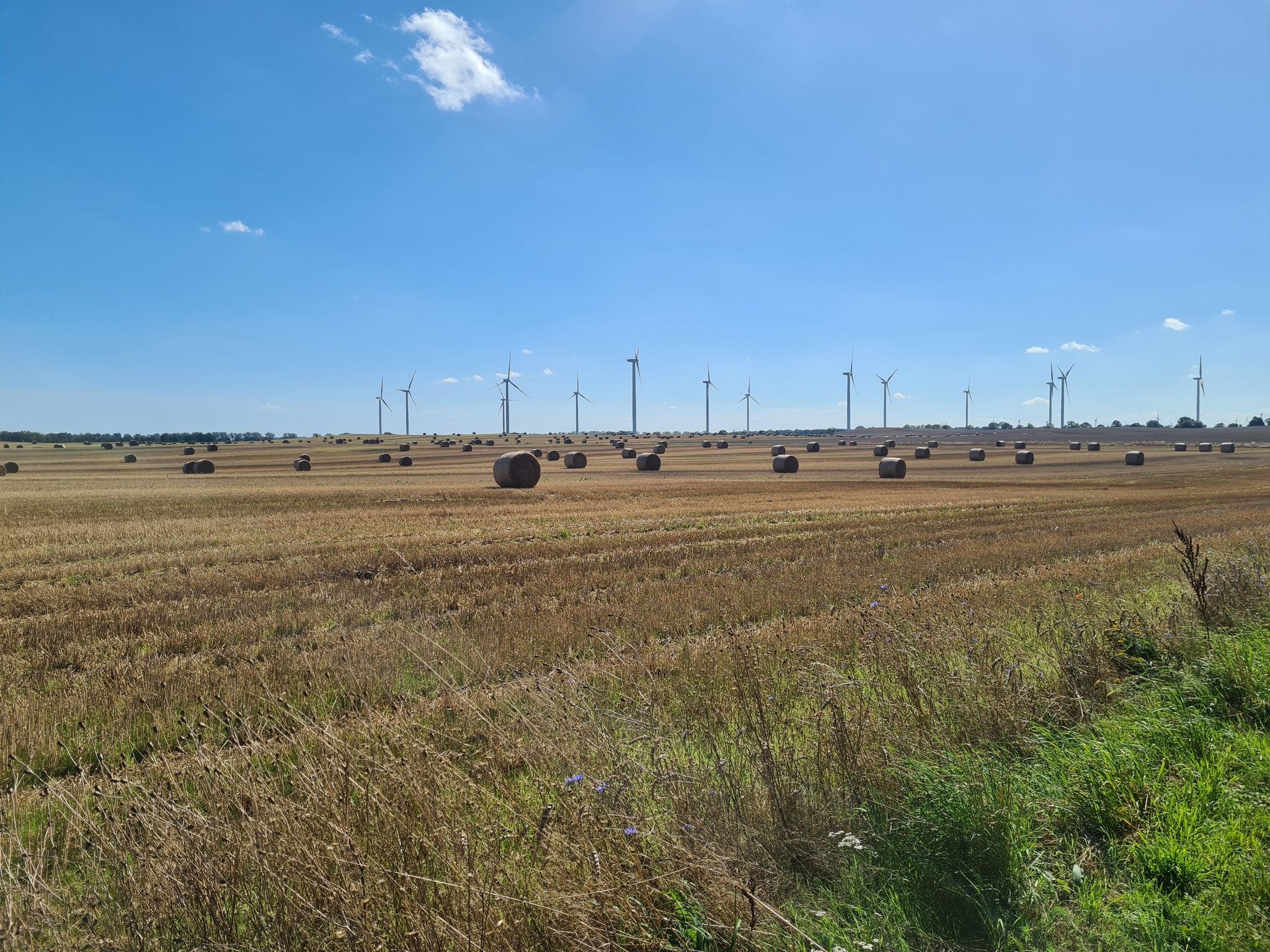 Wind & Weite