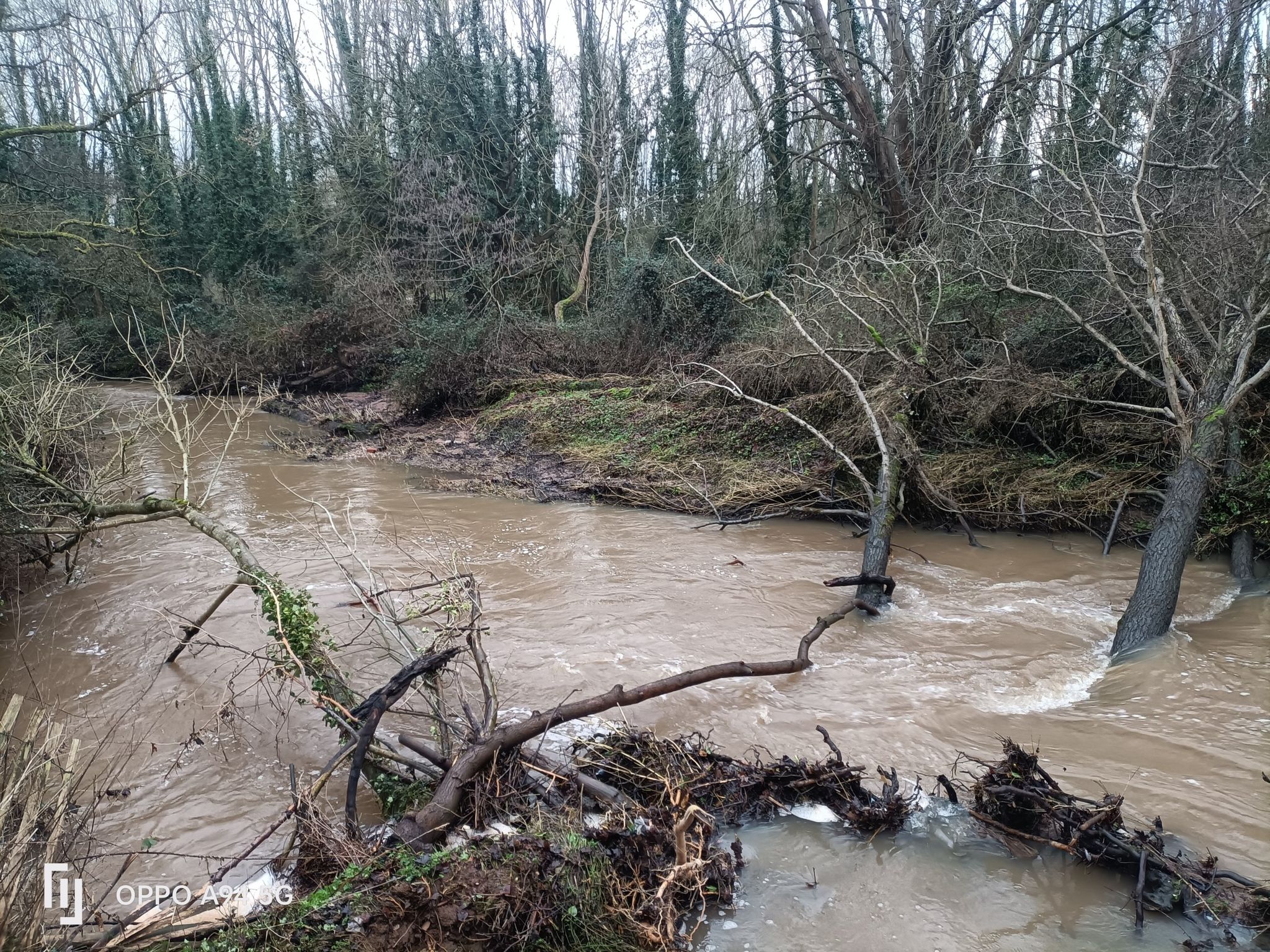 Flooded