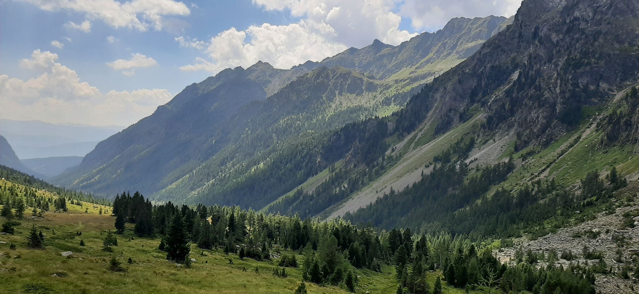 Blick zurück
