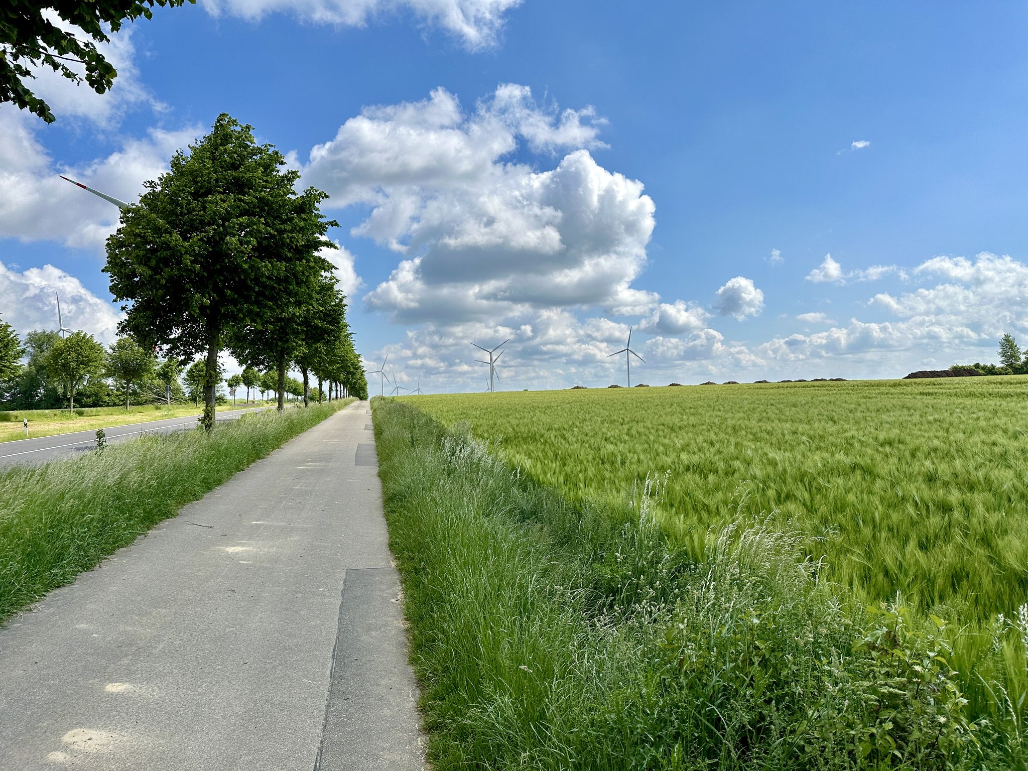 im Null-Land zwischen Dürwiss und Bourheim
