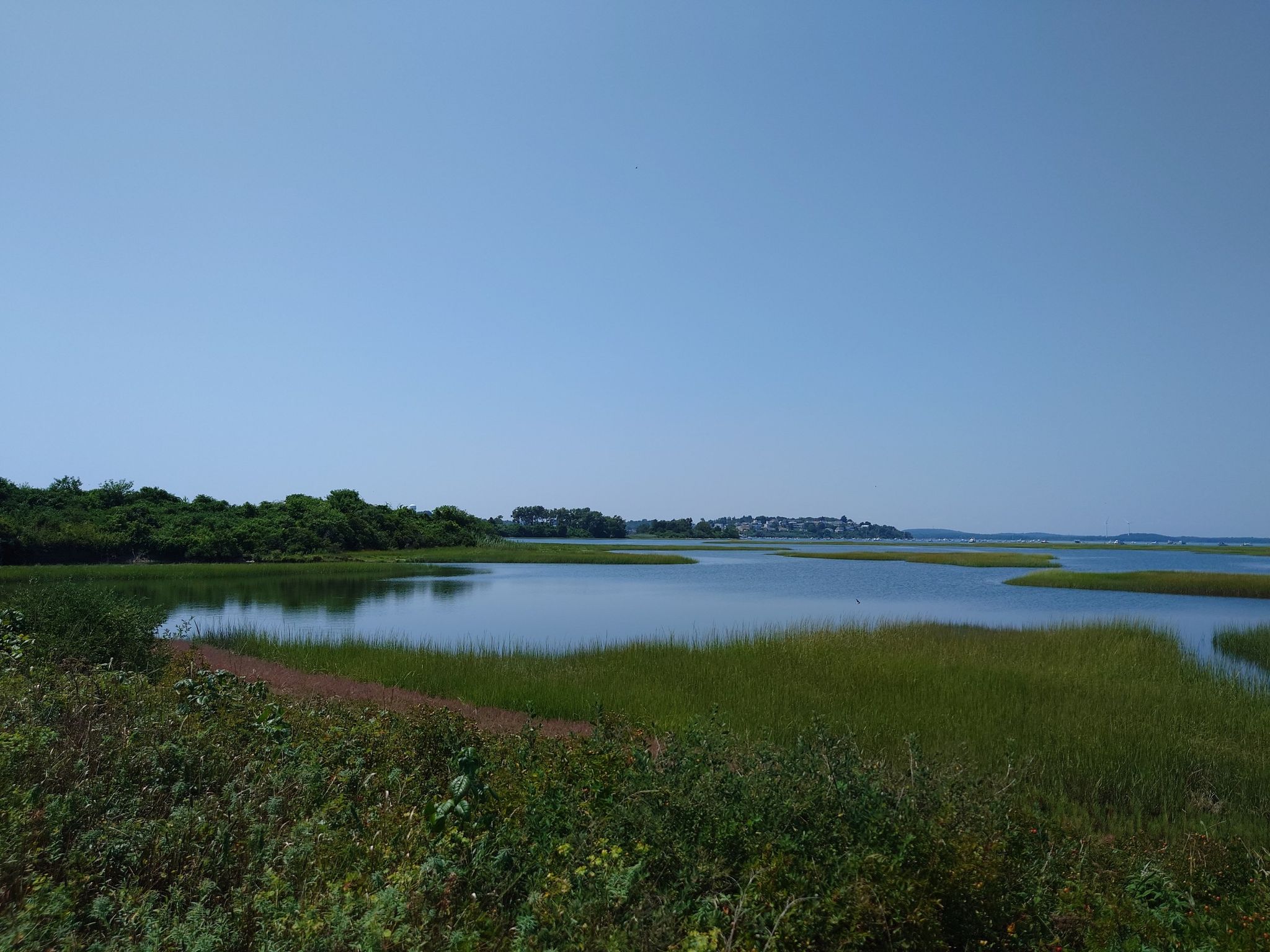 Bright clear day over green marshland with calm water channels. - Sandy Point State Reservation – Plum Island loop from Amelia Little Saltmarsh