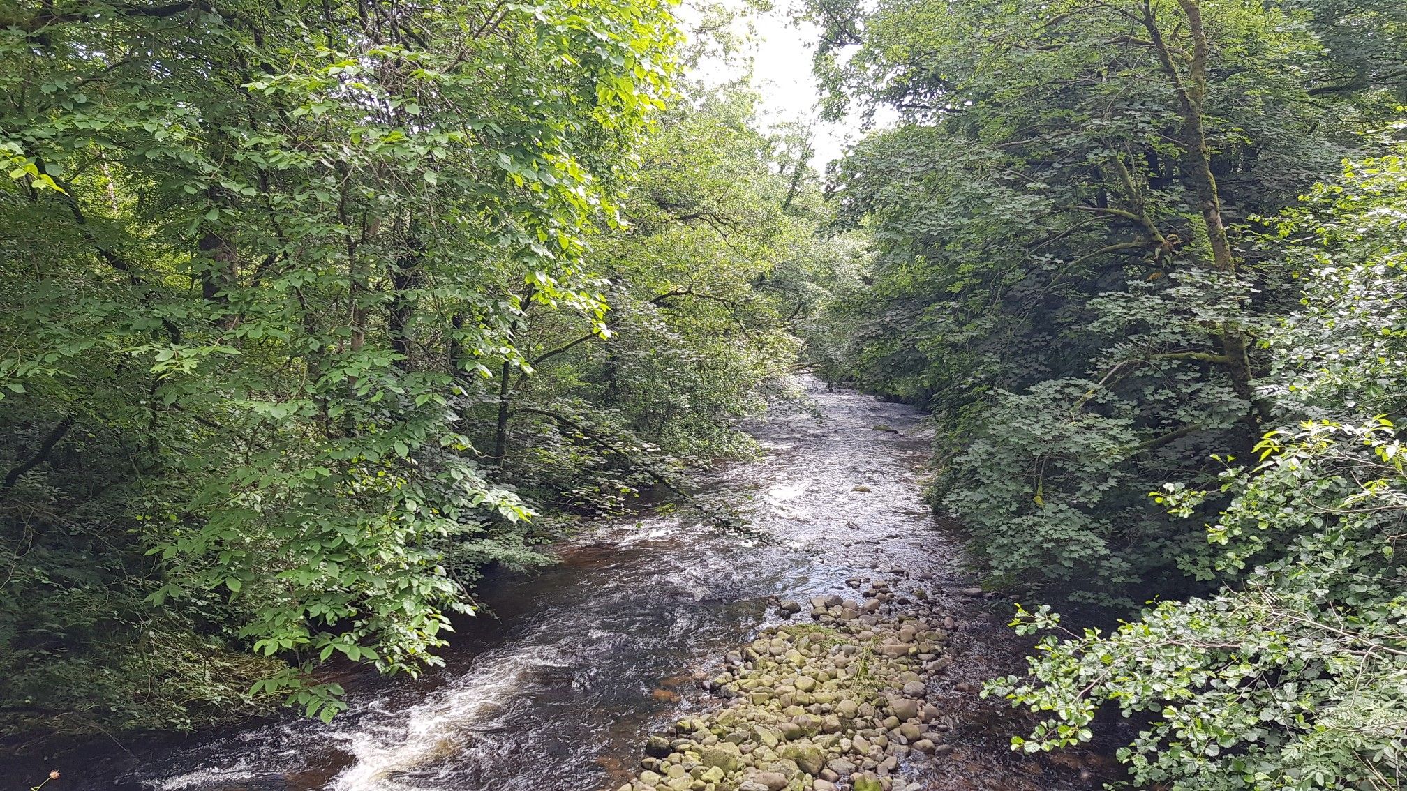 view from bridge 