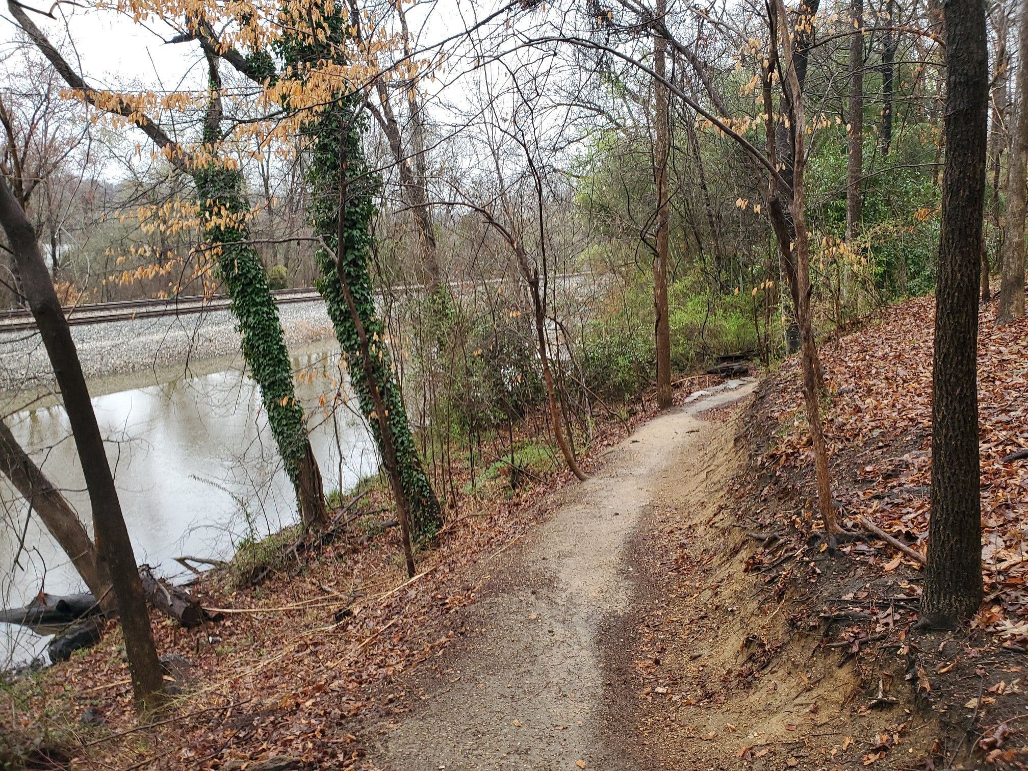 Dirt path winds through bare trees beside a river and railroad tracks. - Buttermilk and North Bank Trail Loop