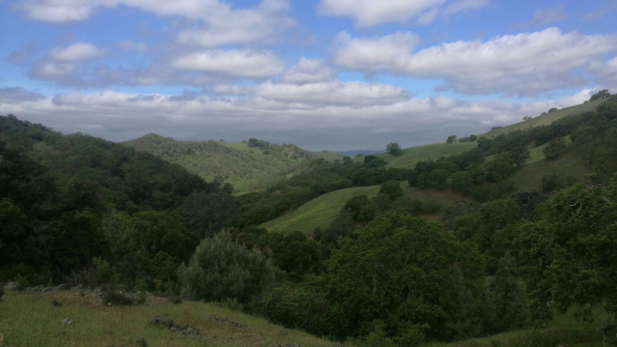Panoramic view of lush green valleys and hills under a cloudy sky. - Stage, Sunset, Burma and Buckeye Loop